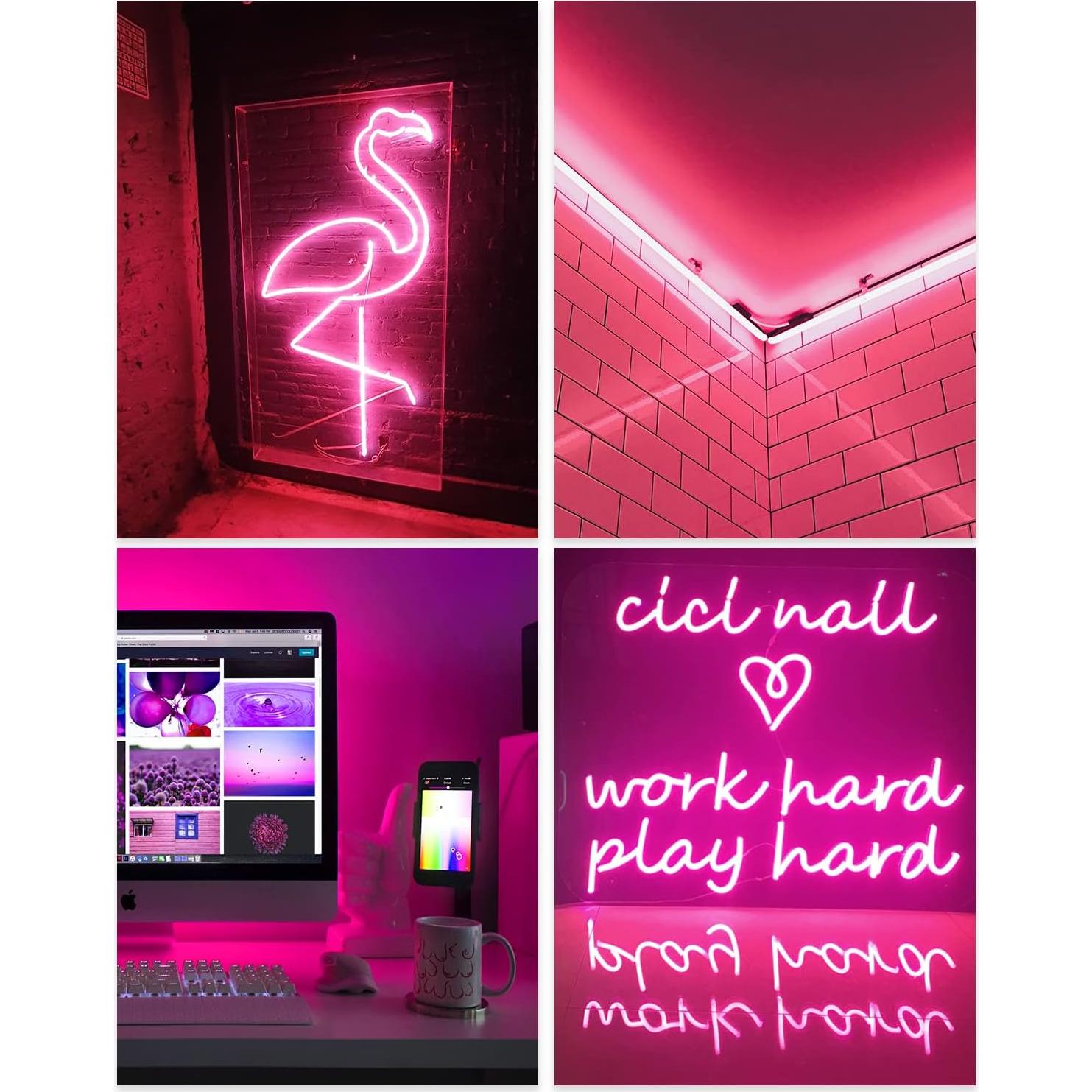 Tira de Luces LED Neón Rosa ALITOVE 5M Regulable IP67