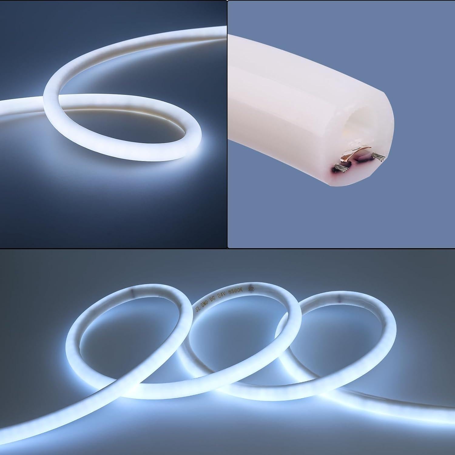 Tira LED Neon 24V 16.4ft IP65 ZHONG YI Blanco Frío 6500K