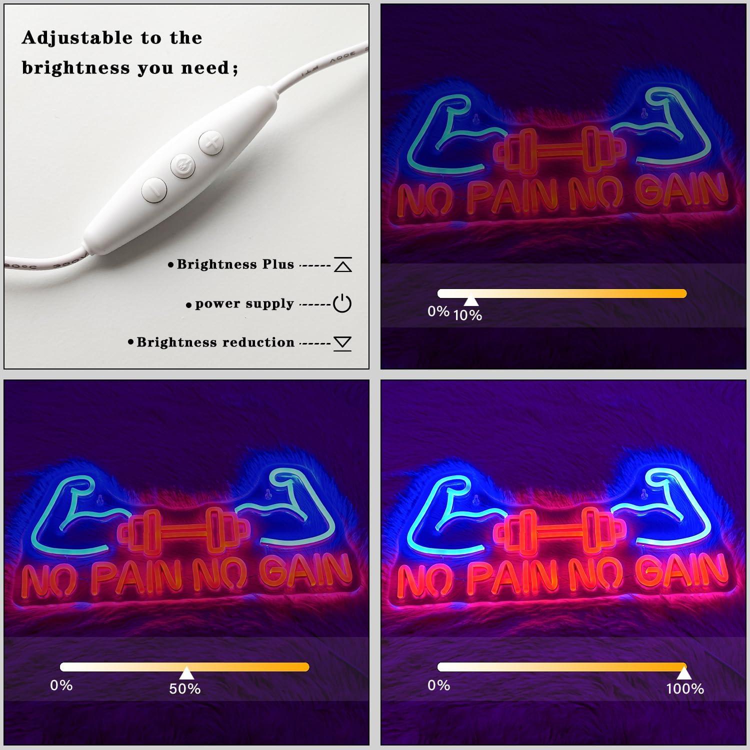 Letrero Neón LED Alkkign No Pain No Gain 42x19 cm para Gimnasio