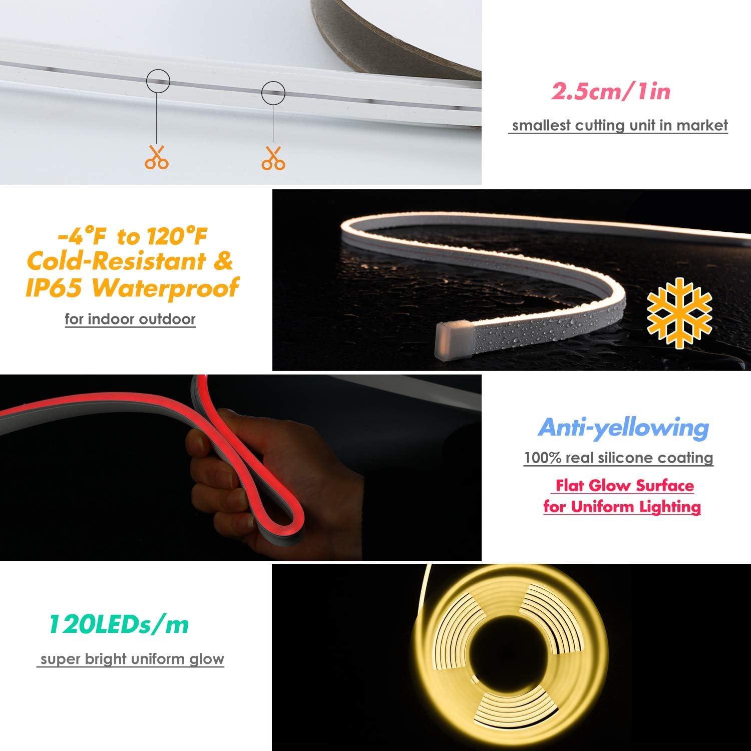 Tira LED Neon RGB 5m Shine Decor Control Remoto Dimmable