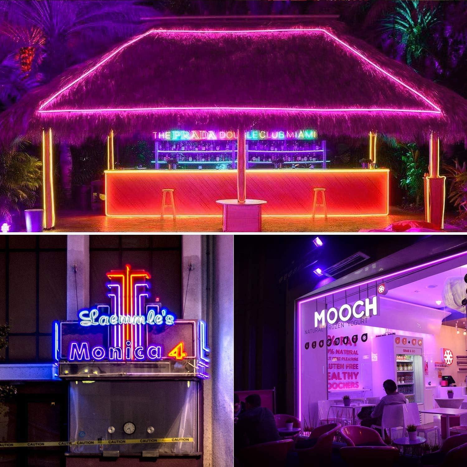 Tira LED Neon RGB 5m Shine Decor Control Remoto Dimmable