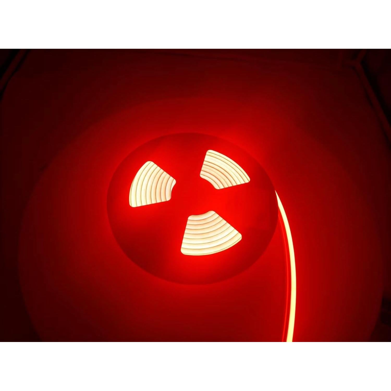 Tira de Luz LED Neón Roja Q QINGCHEN 5m 12V Impermeable