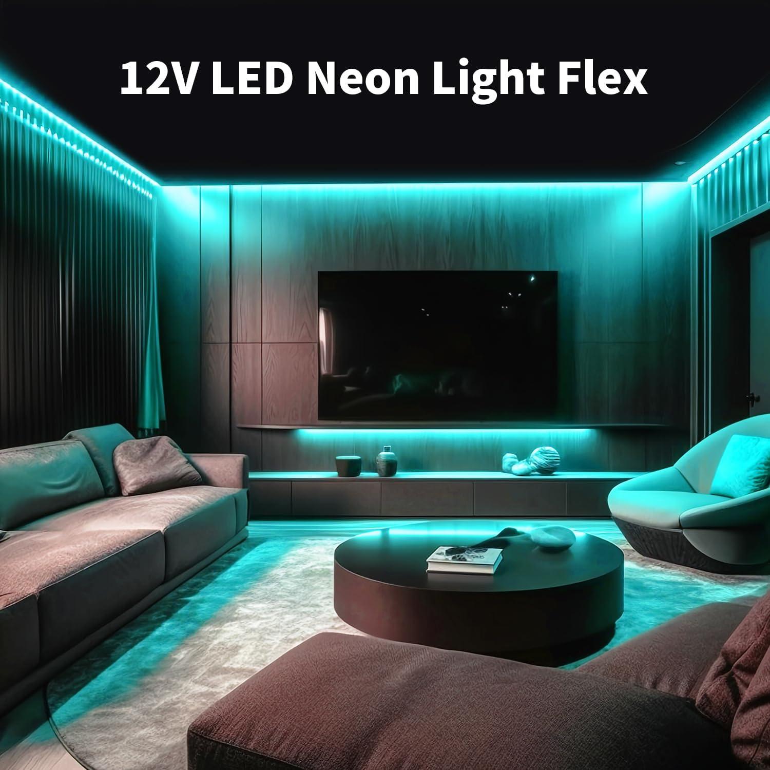 Tira de Luz LED Neón RQ 5m 12V Azul Hielo Regulable IP65