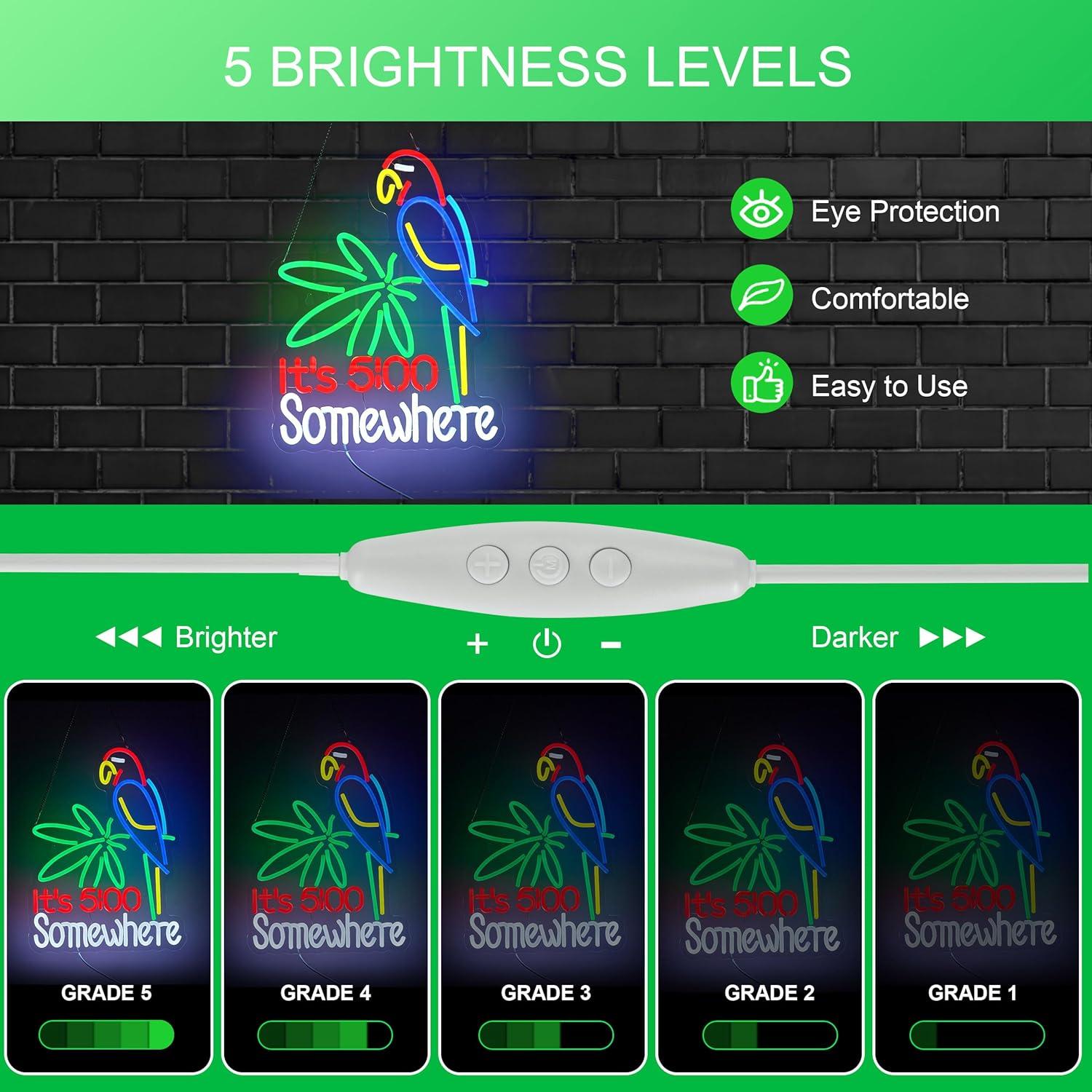 Cartel de Neón LED Regulable Hoyoelec 420mm x 320mm USB