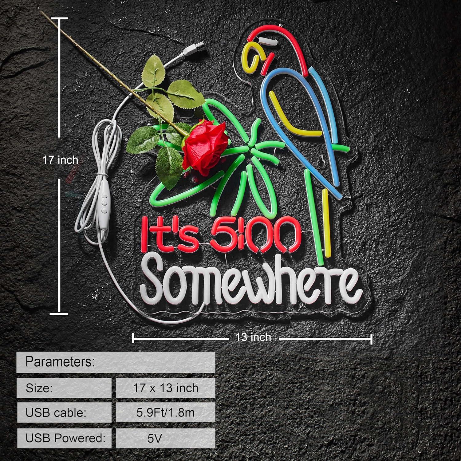 Cartel de Neón LED Regulable Hoyoelec 420mm x 320mm USB