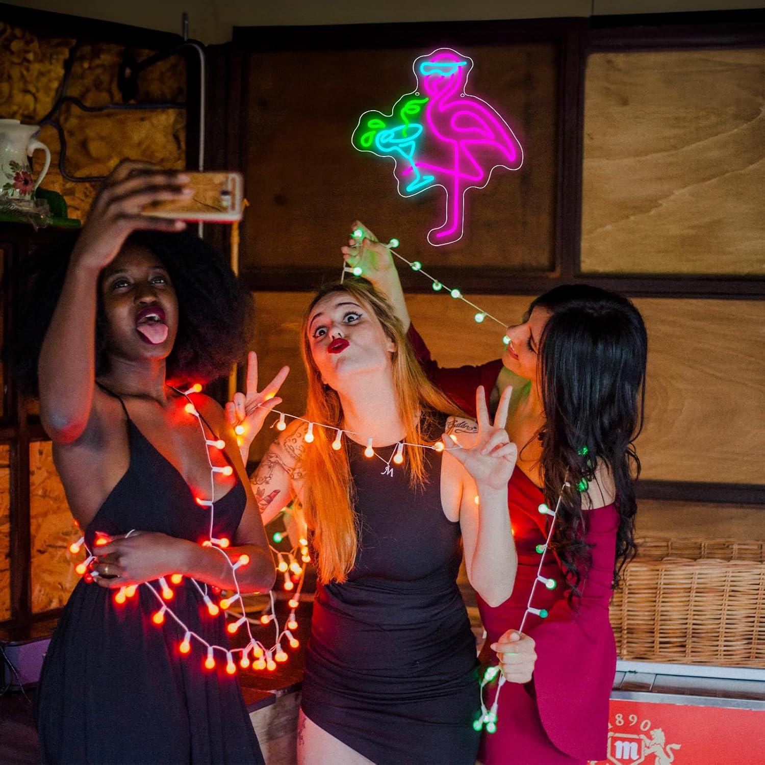 Luz de Neón Flamenco Rosa y Azul 35x30cm con USB