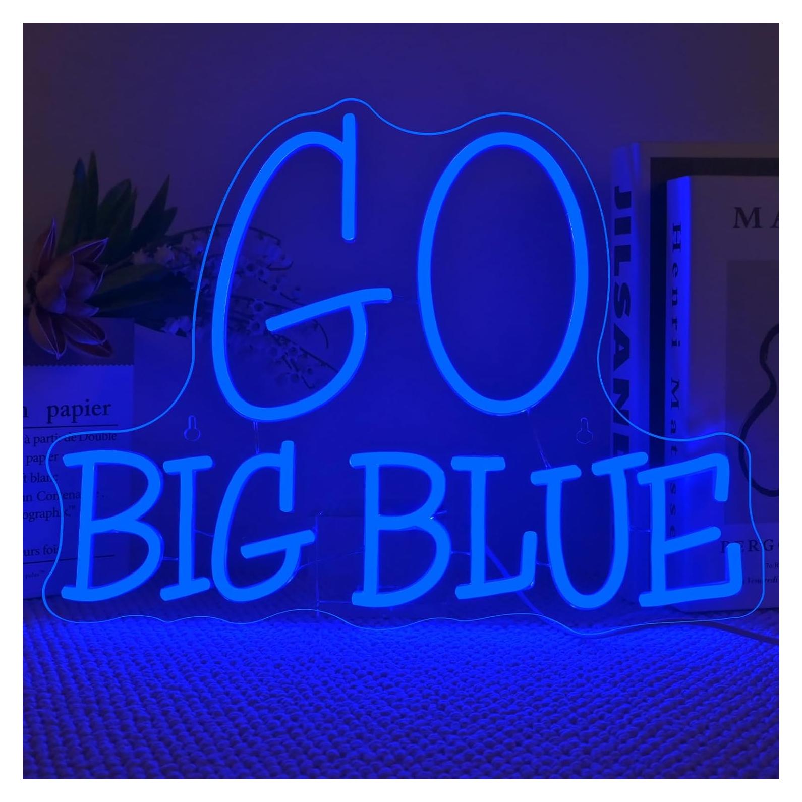 Señal Neón WLHOPE Ve Grande Azul Dimmable 40 x 30 cm USB