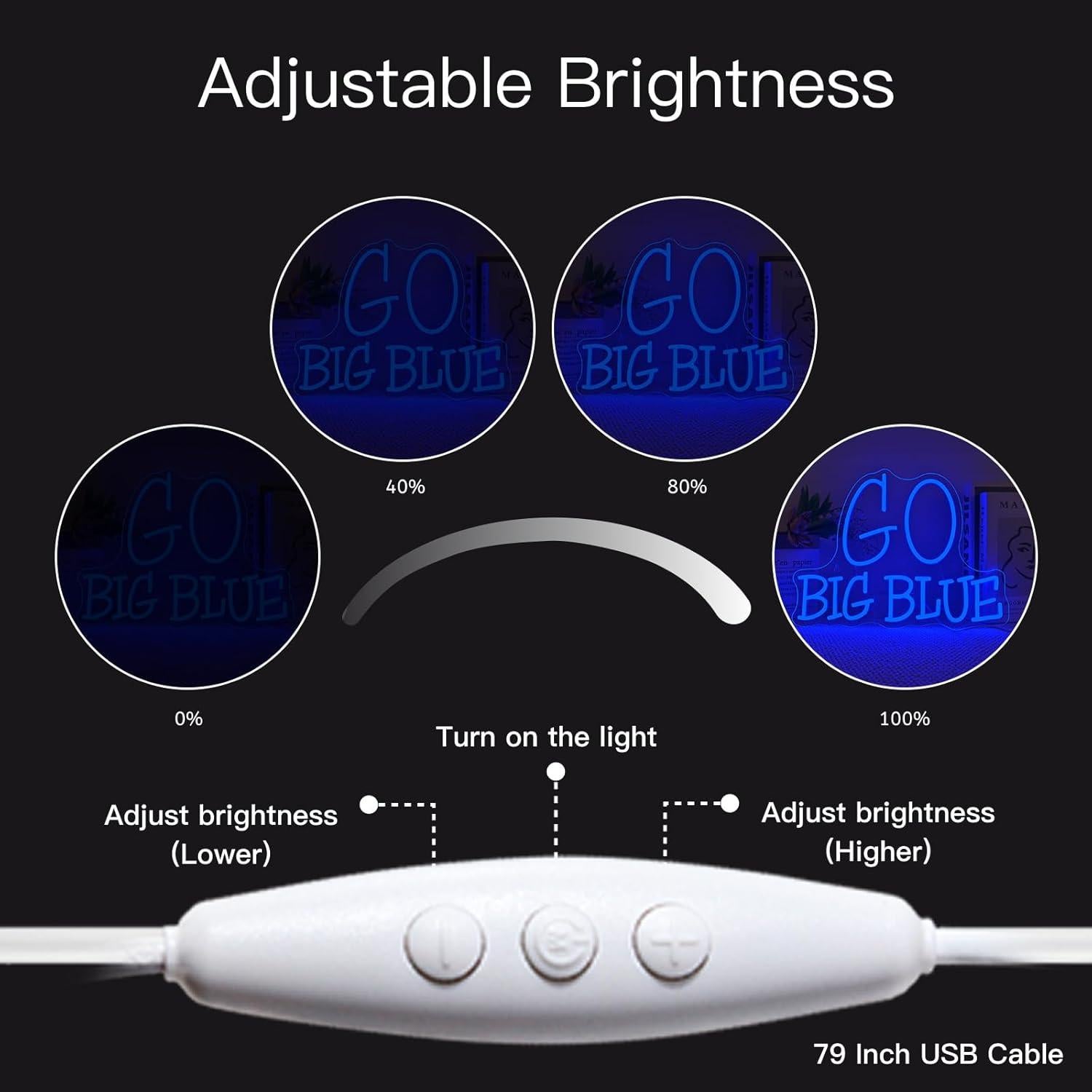 Señal Neón WLHOPE Ve Grande Azul Dimmable 40 x 30 cm USB