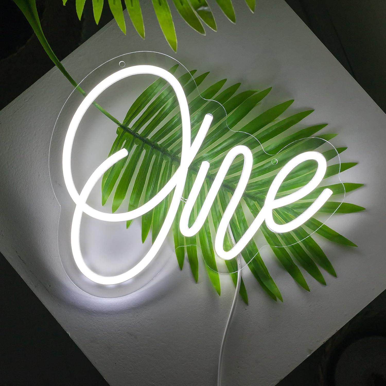 Luz de Neón Blanca LED NBZJ 30x24 cm para Decoración