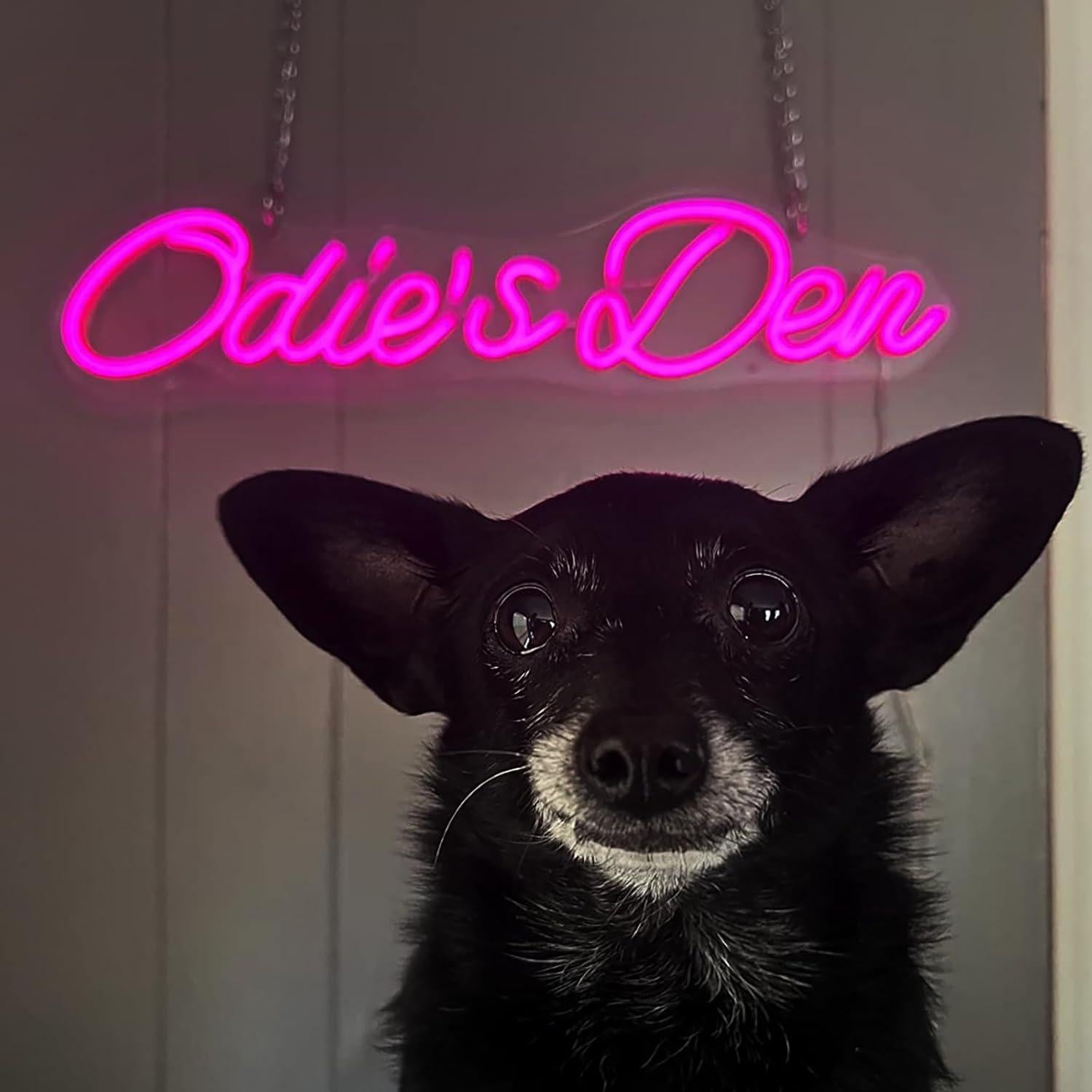 Cartel de Neón Personalizado TDBNEON 25.4x25.4cm Decoración