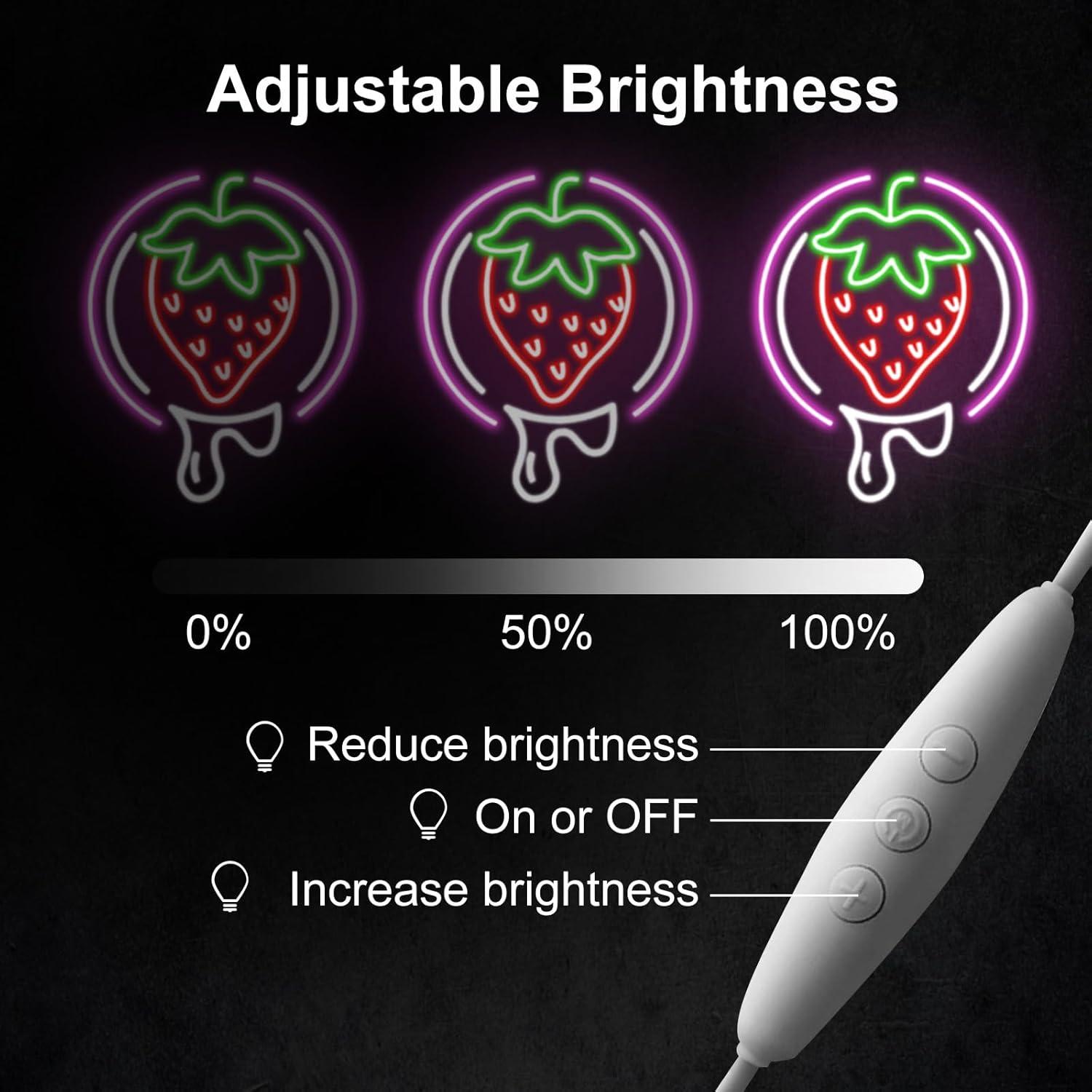 Luz de Neón LED Fresa Mllusxg Regulable USB 30x35cm