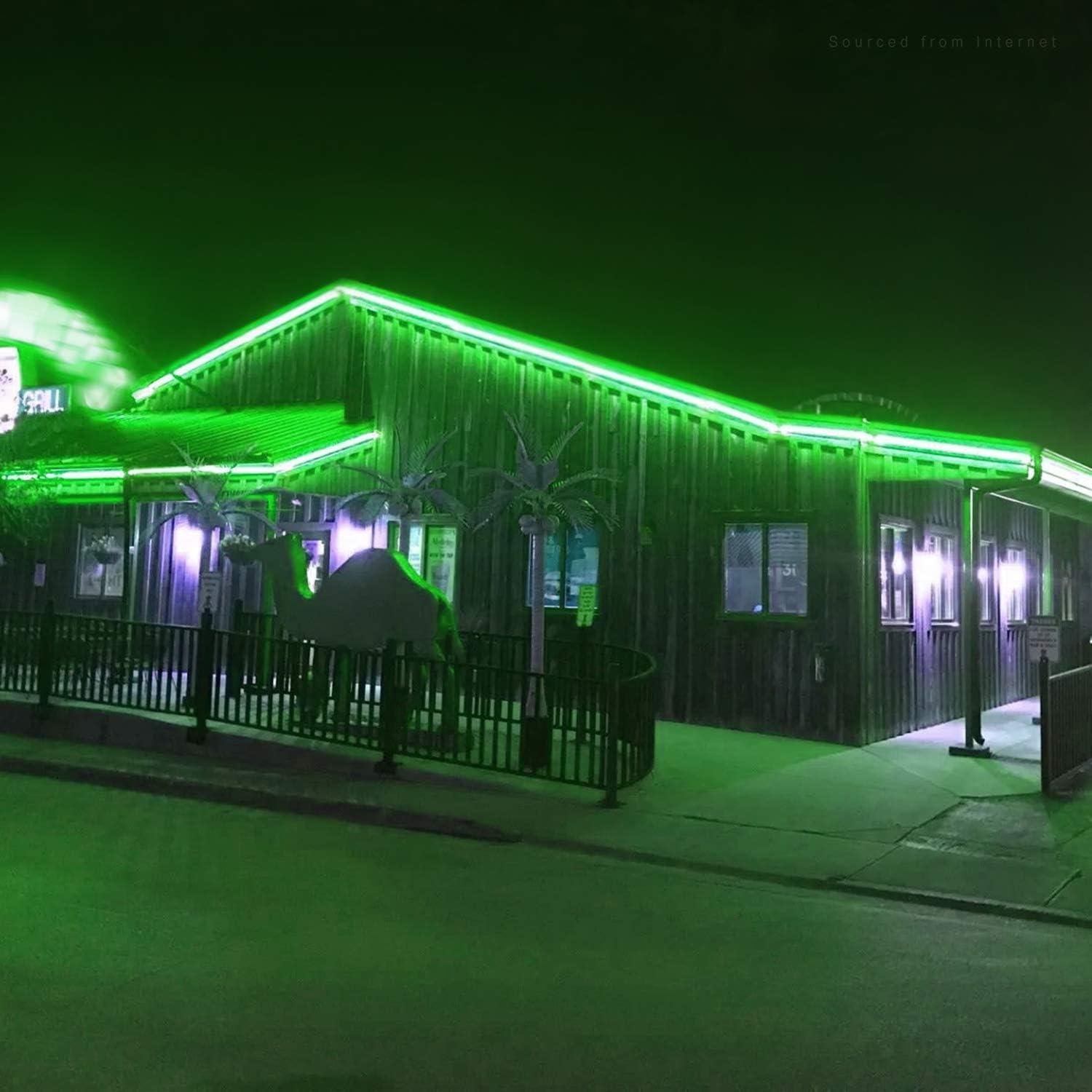 Luces de Cuerda LED Neon Verde TORCHSTAR 15.24m IP67