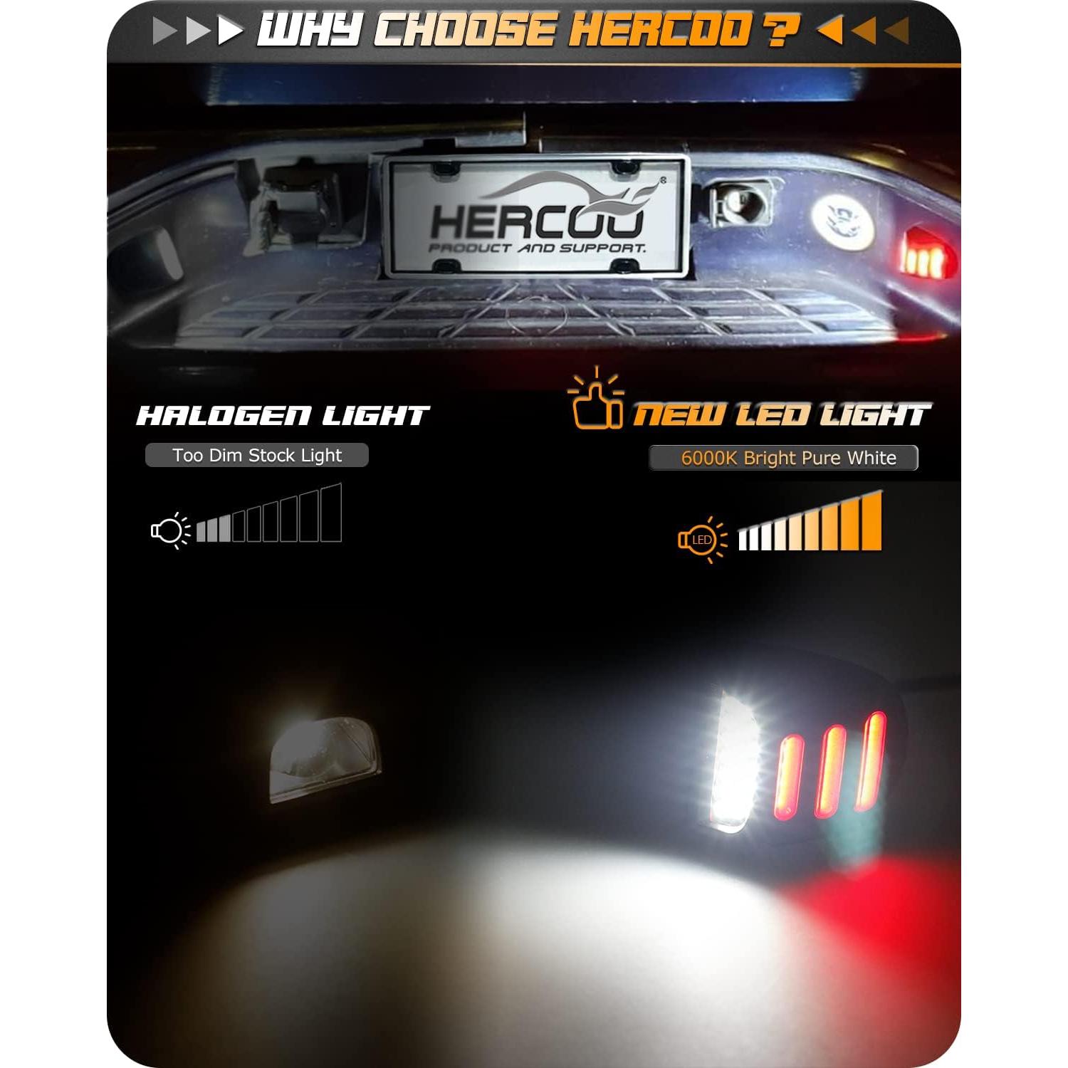 Luz de Placa LED HERCOO S10765 con Tubo Neón Rojo 12V