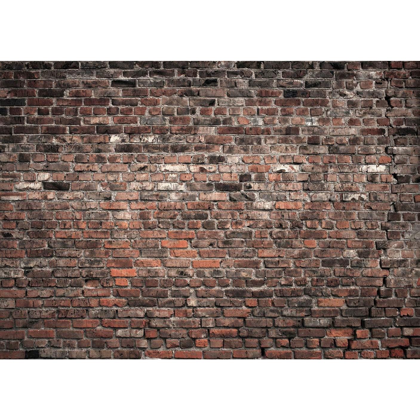 Telón de Fondo LTLYH 2.44x1.83m Ladrillo Rojo Vintage