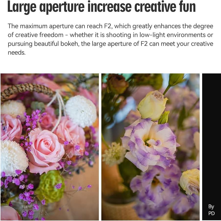 Lente Gran Angular TTArtisan 25mm F2 Montura E para Sony