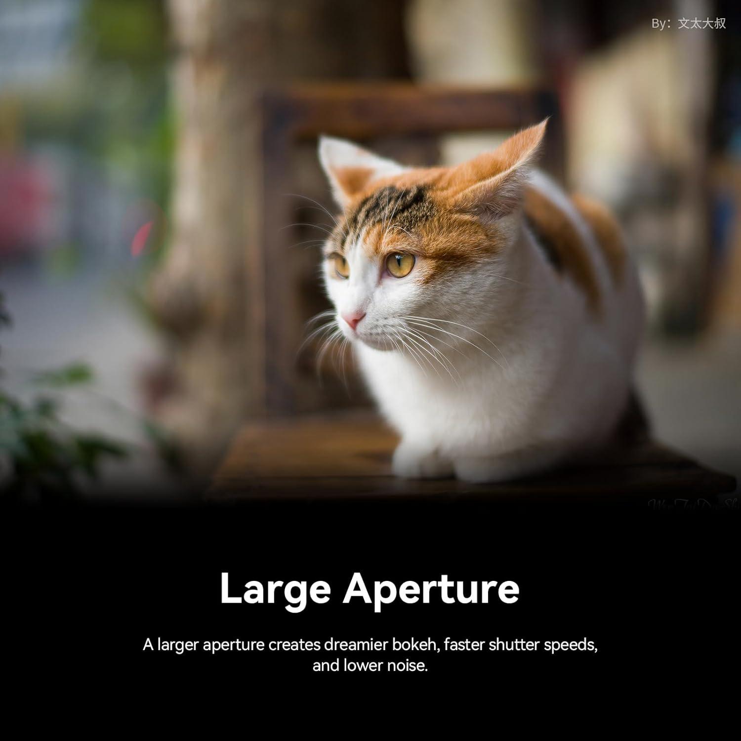 35mm F1.2 Lens APS-C Large Aperture Portrait Lens Mirroless Camera for Canon EOS-M Mount,M1,M2,M3,M5,M6,M611,M10,M100,M50,M50 Mark 11,M200