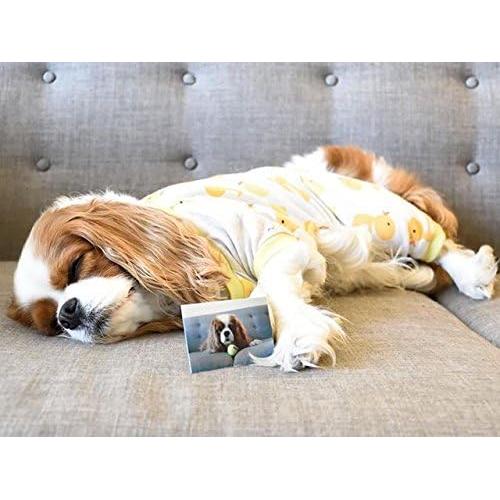 Papel Fotográfico ZINK Polaroid 2x3" Autoadhesivo 20 Hojas