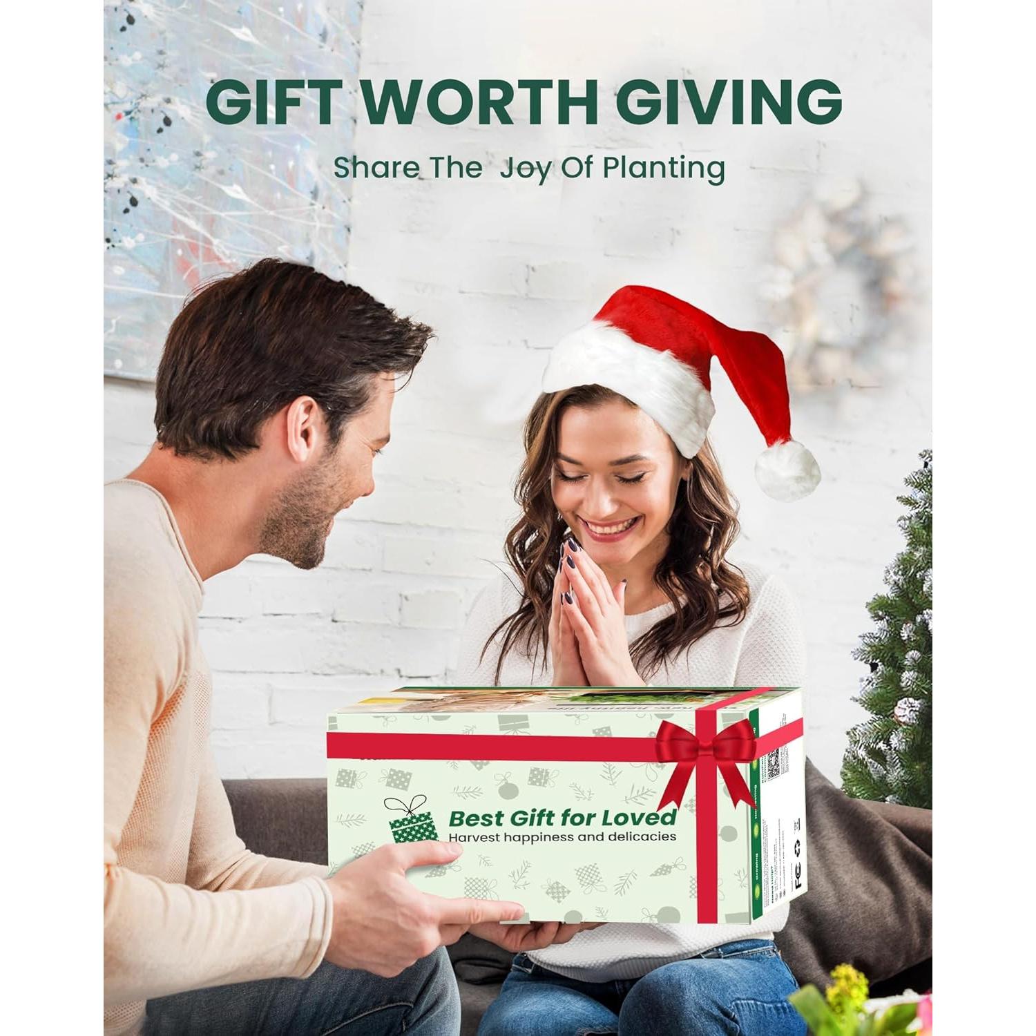 Cultivador Hidropónico RAINPOINT 13 Cápsulas 5L Interior