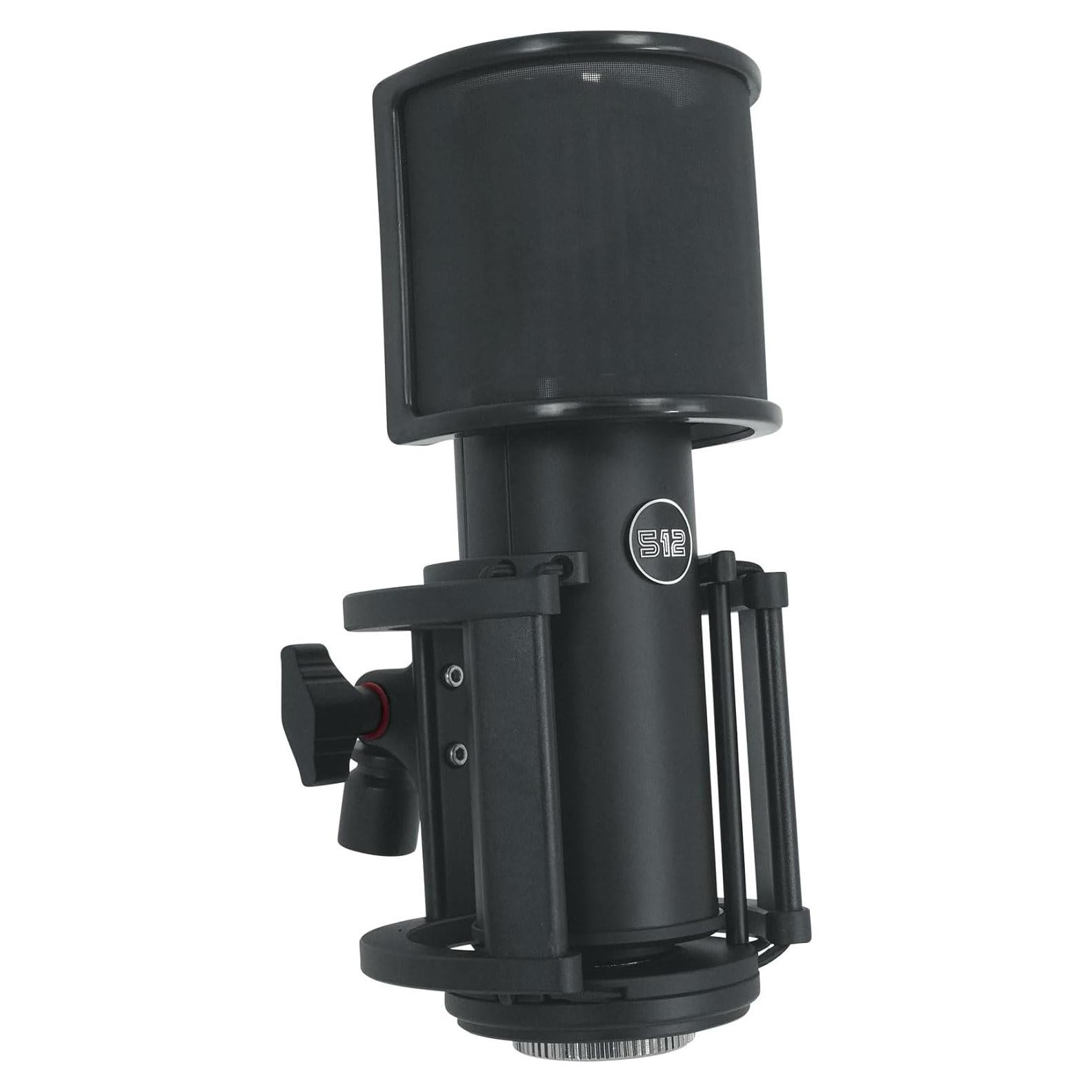 Micrófono de Condensador XLR Warm Audio Skylight 34mm + Soporte