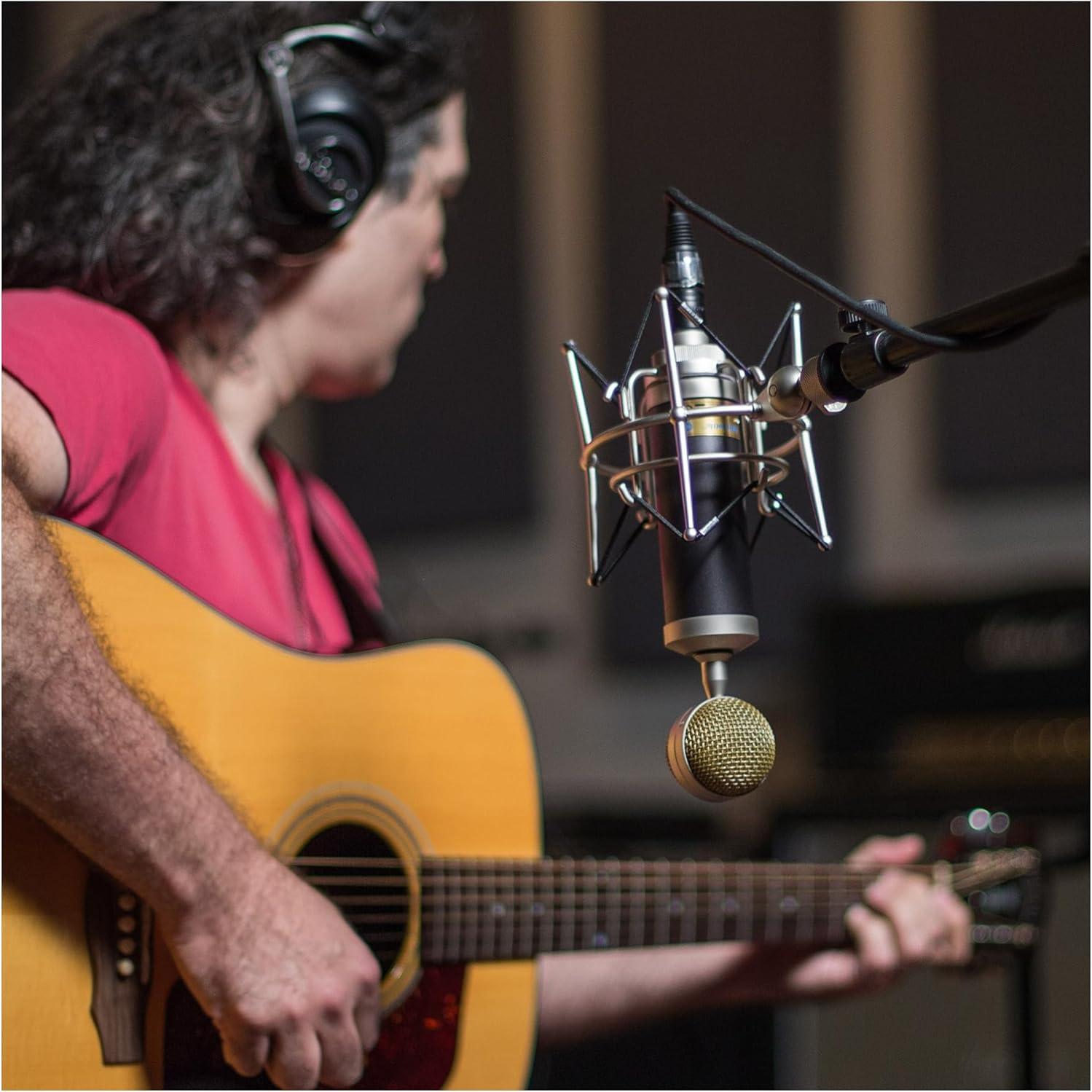 Micrófono de Condensador Cardioide Blue Baby Bottle SL