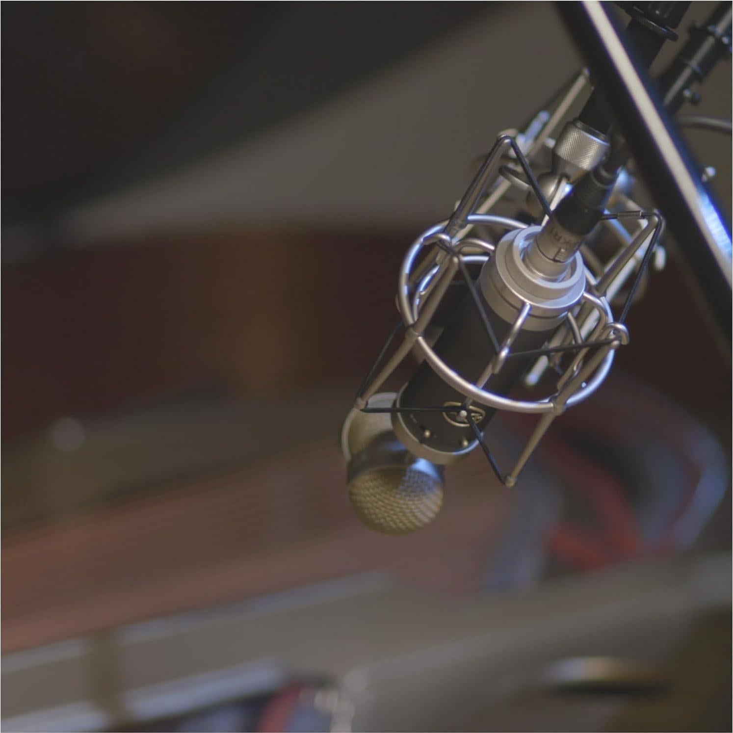 Micrófono de Condensador Cardioide Blue Baby Bottle SL