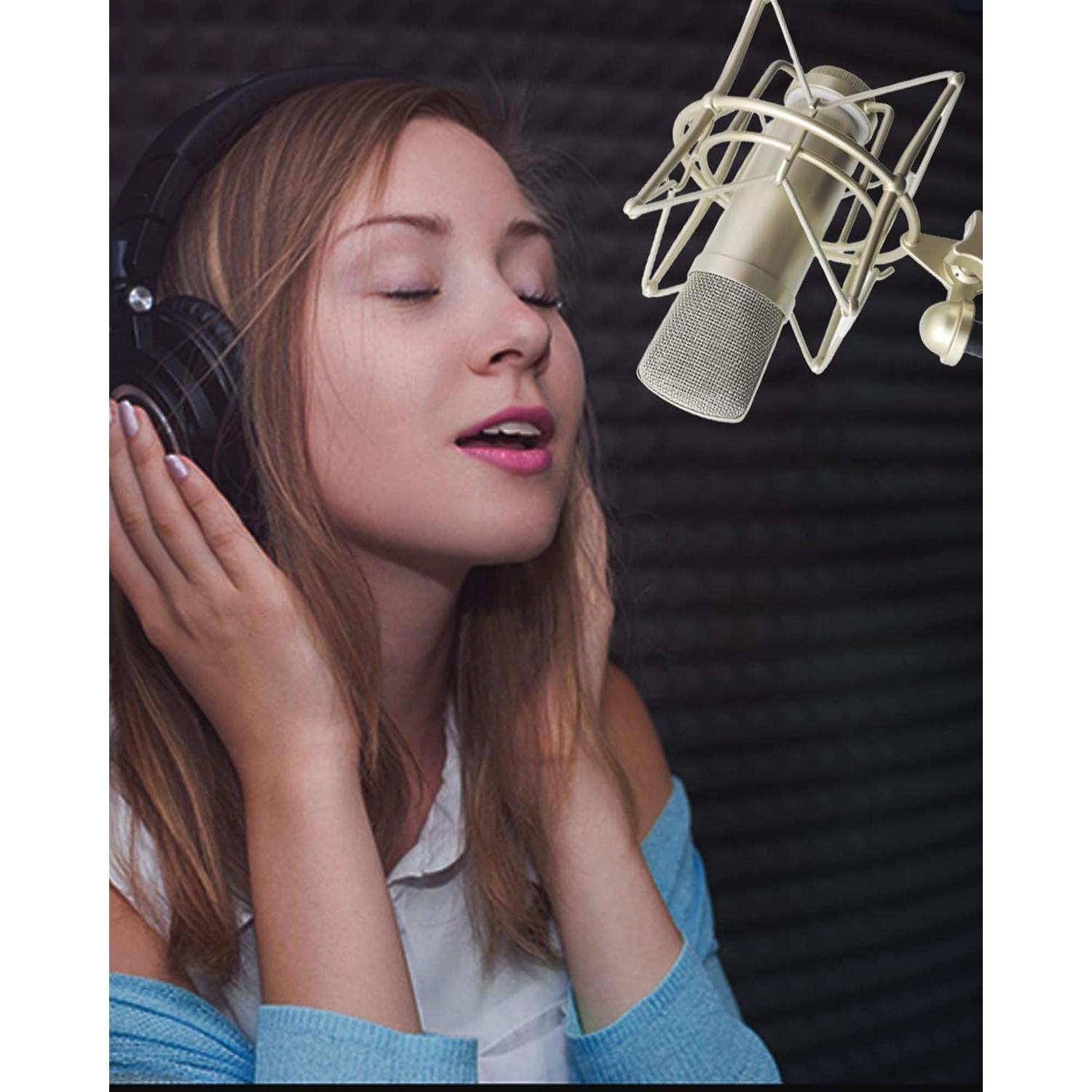 Soporte de micrófono universal AT2020 con montura de choque - Champán