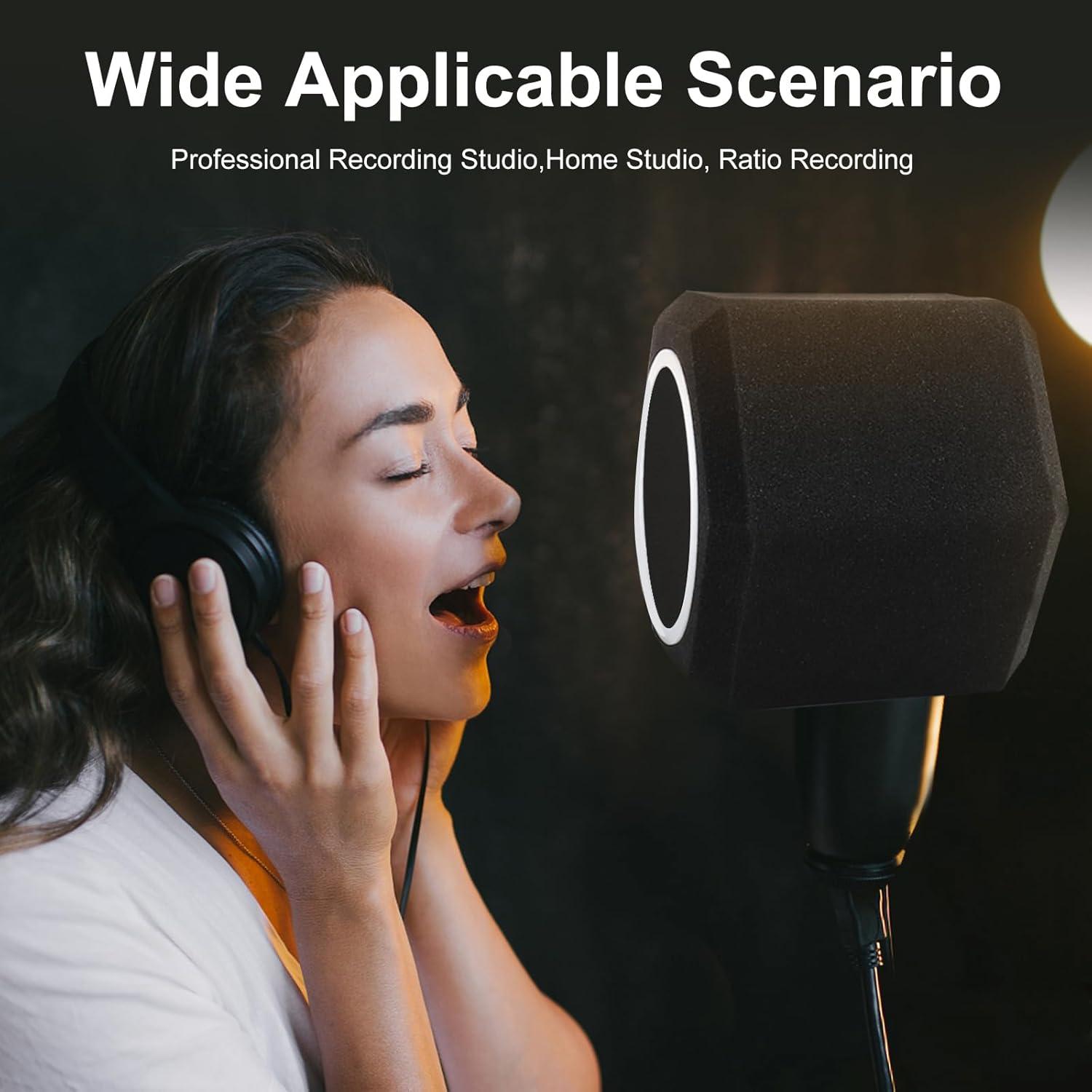 Bola de Aislamiento de Micrófono Marisflo con Filtro Antipop