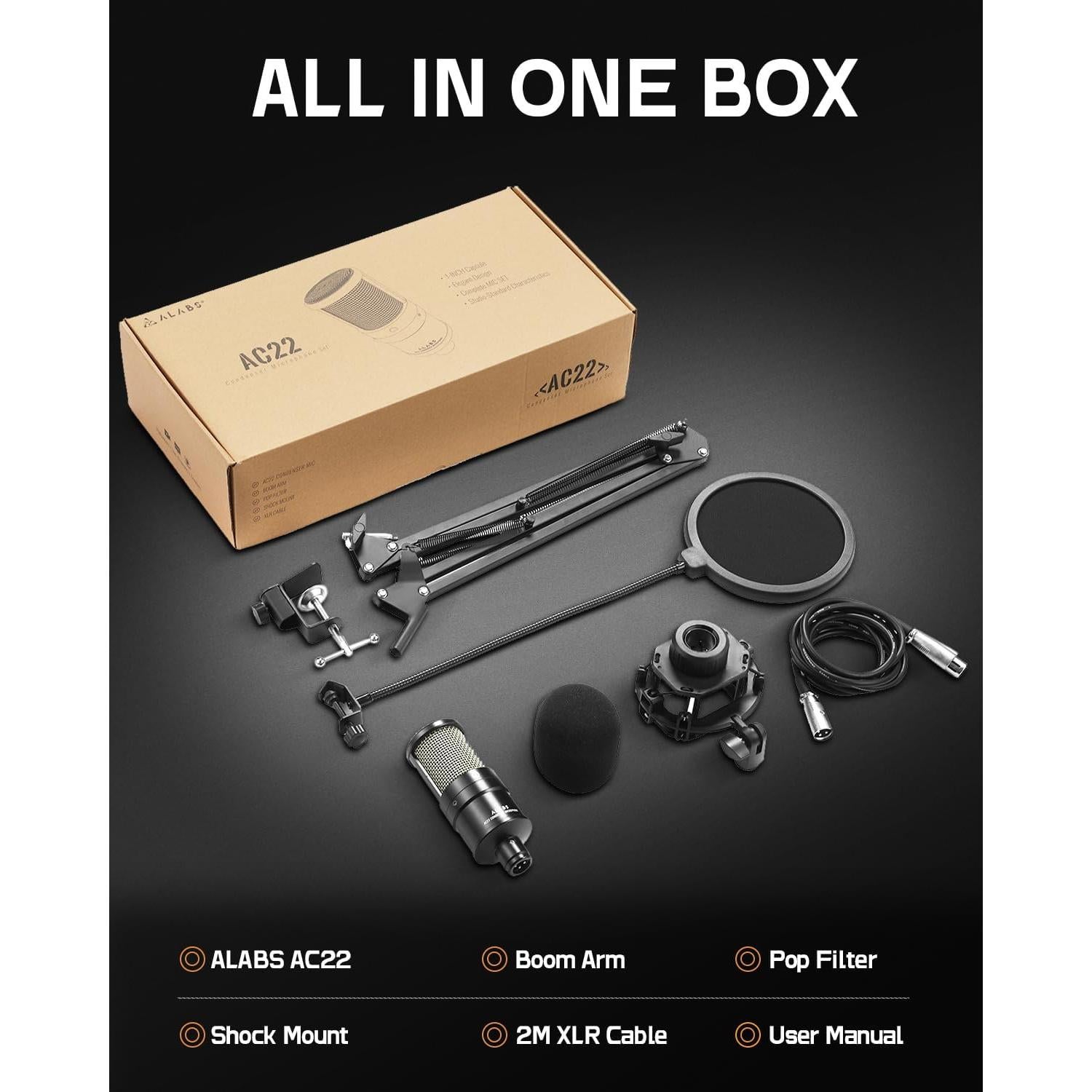 Micrófono de Condensador ALABS AC22 con Soporte y Filtro