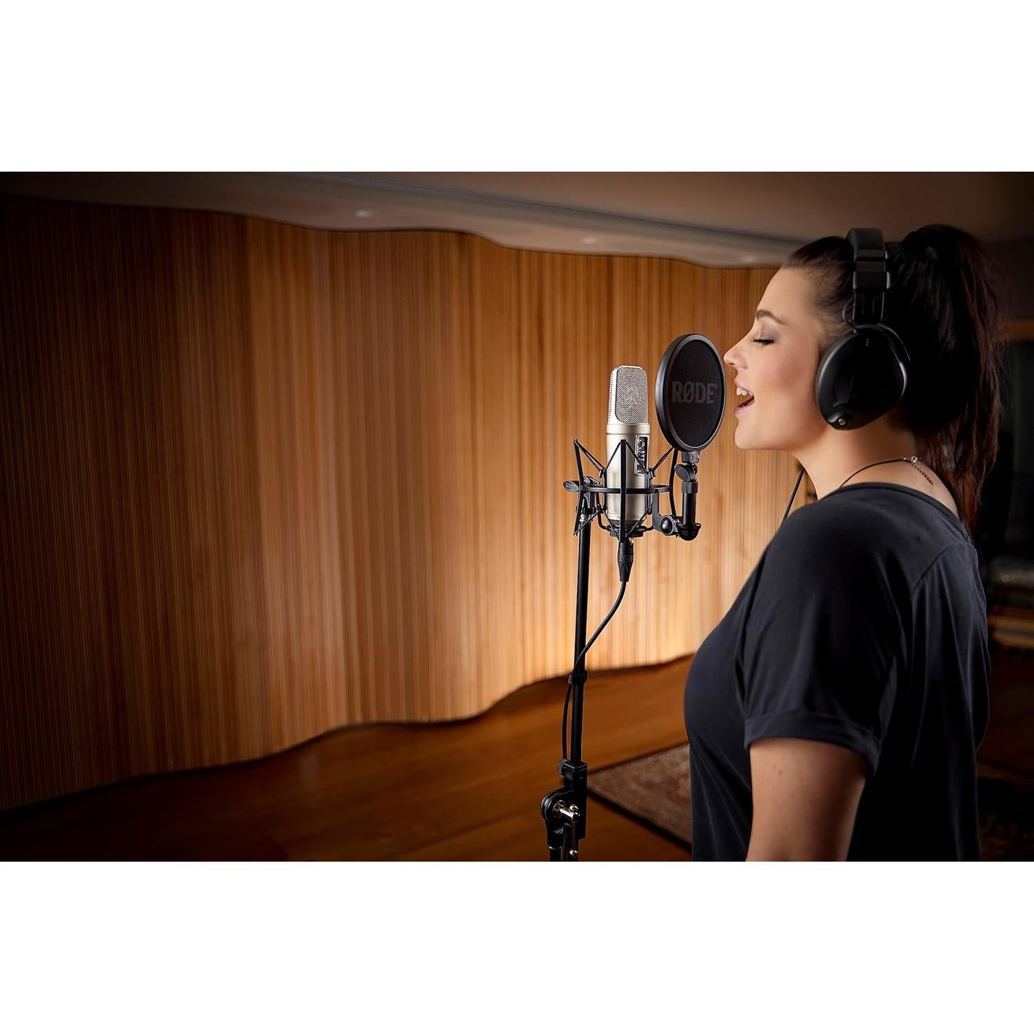 Micrófono de Estudio Rode NT2-A, Gran Diafragma, Plata