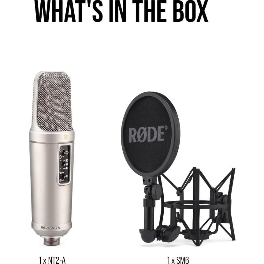Micrófono de Estudio Rode NT2-A, Gran Diafragma, Plata