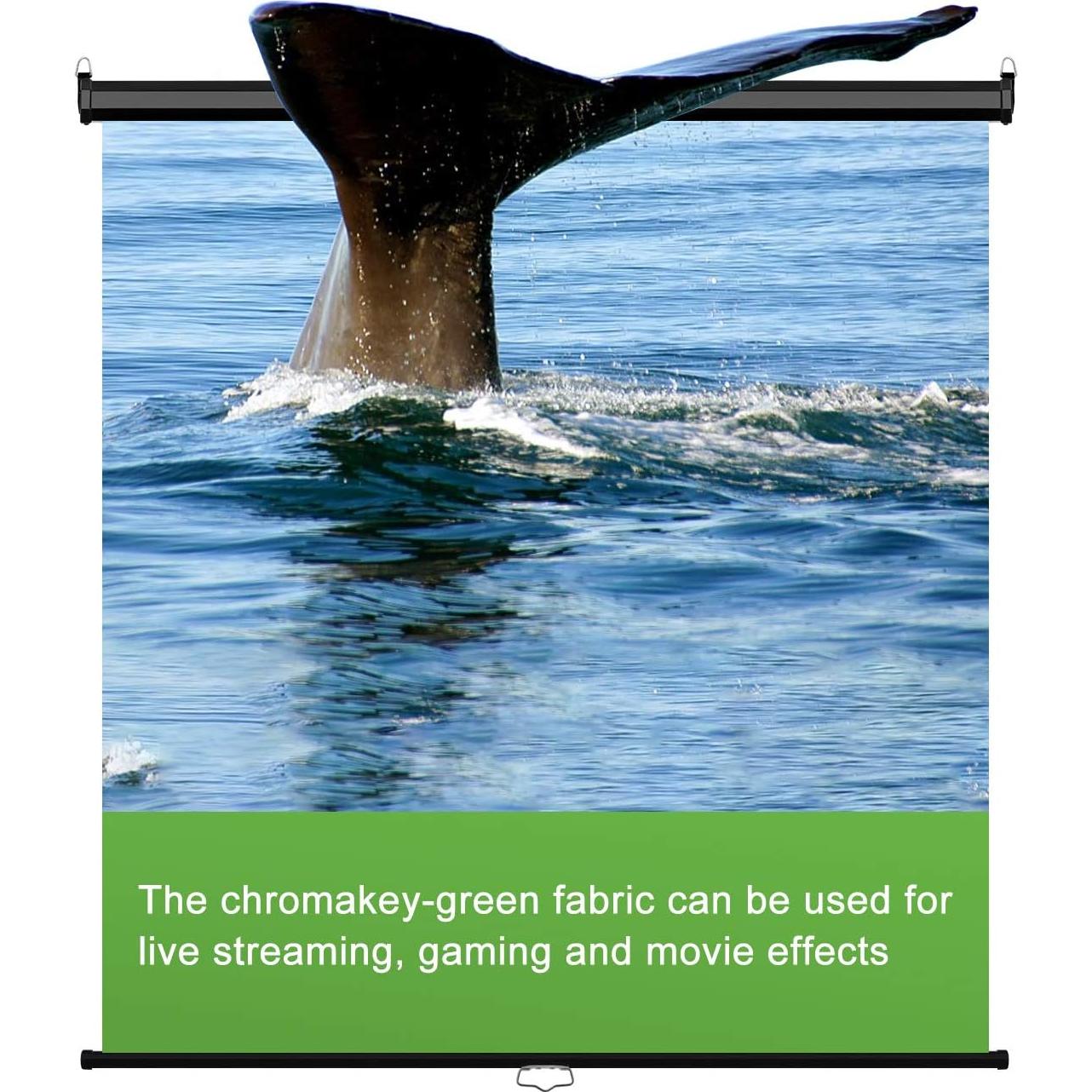 Panel Chroma Key EMART Retráctil 190x200 cm Resistente
