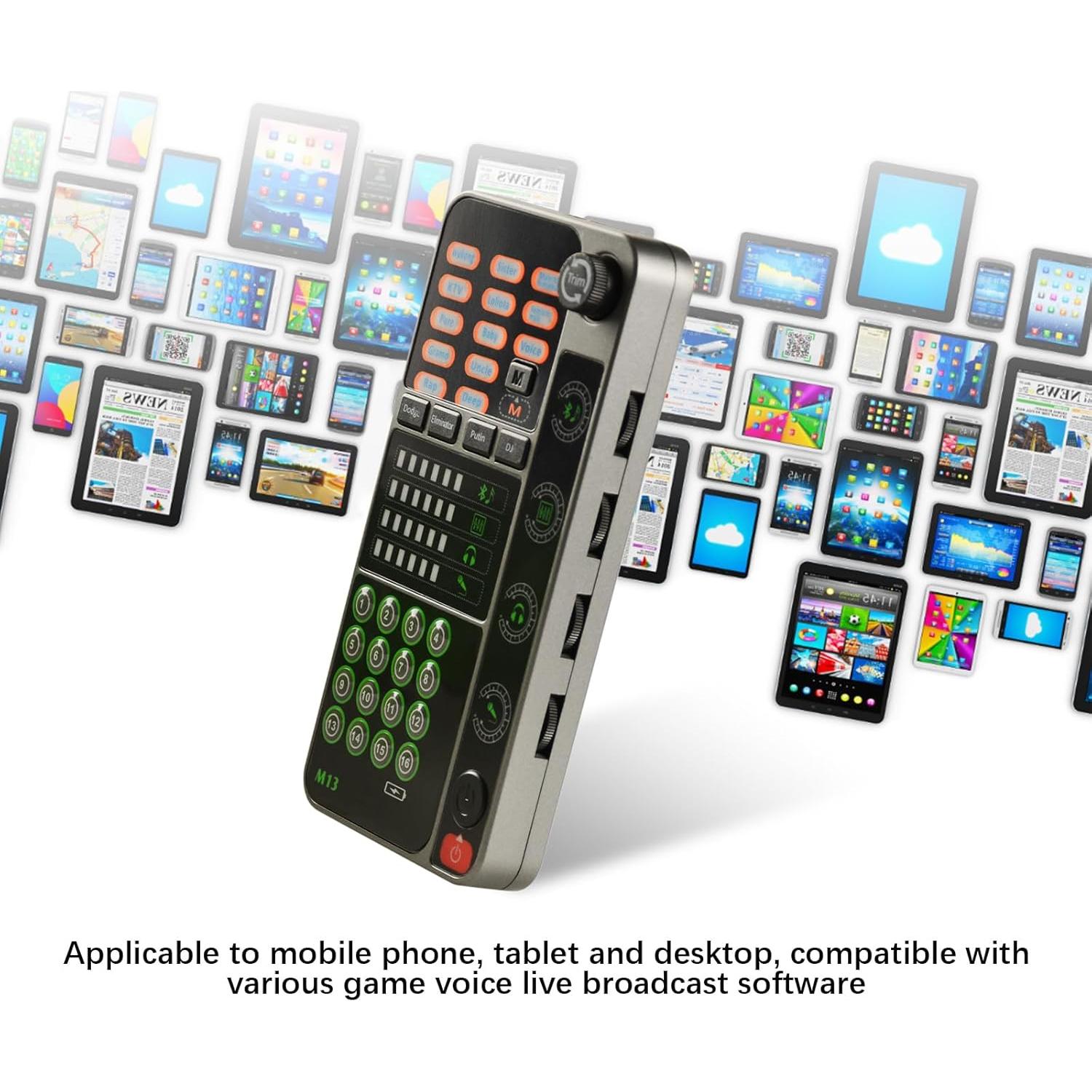 Cambiador de Voz Portátil Flylin con 16 Efectos de Sonido