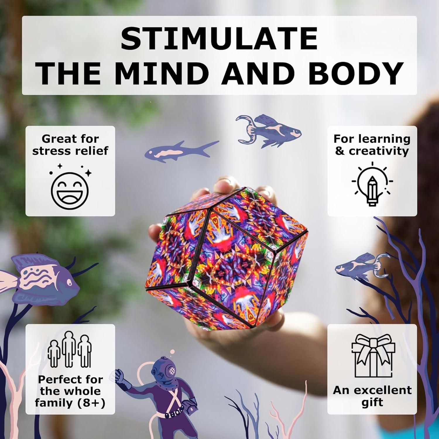 SHASHIBO Cubo Magnético Transformador - Portal Secador