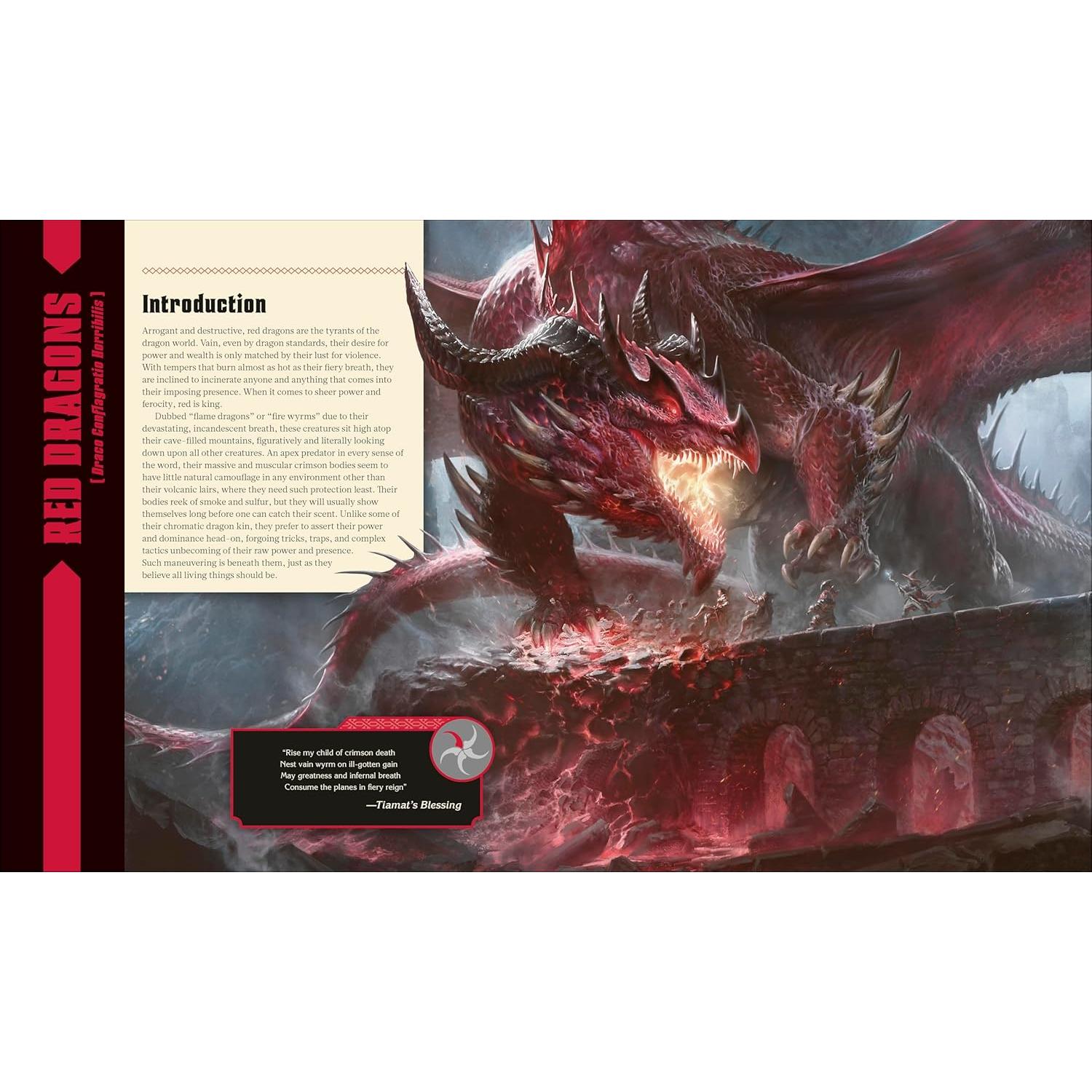 Dungeons and Dragons The Book of Dragons (DK Dungeons & Dragons)