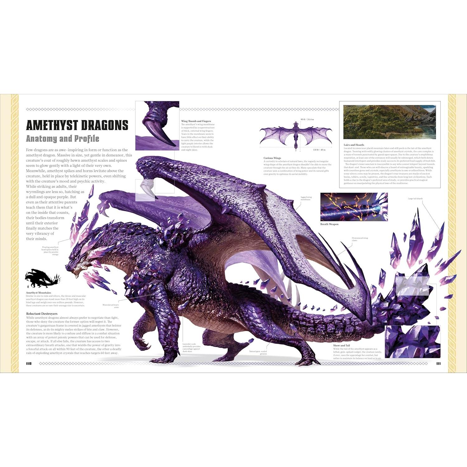 Dungeons and Dragons The Book of Dragons (DK Dungeons & Dragons)