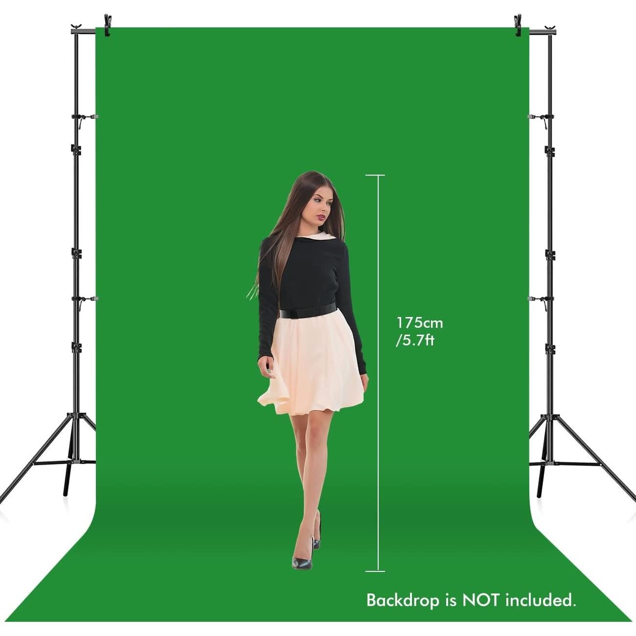 Soporte de Fondo Fotográfico DOLPHIN LENTO 2.6m Ajustable