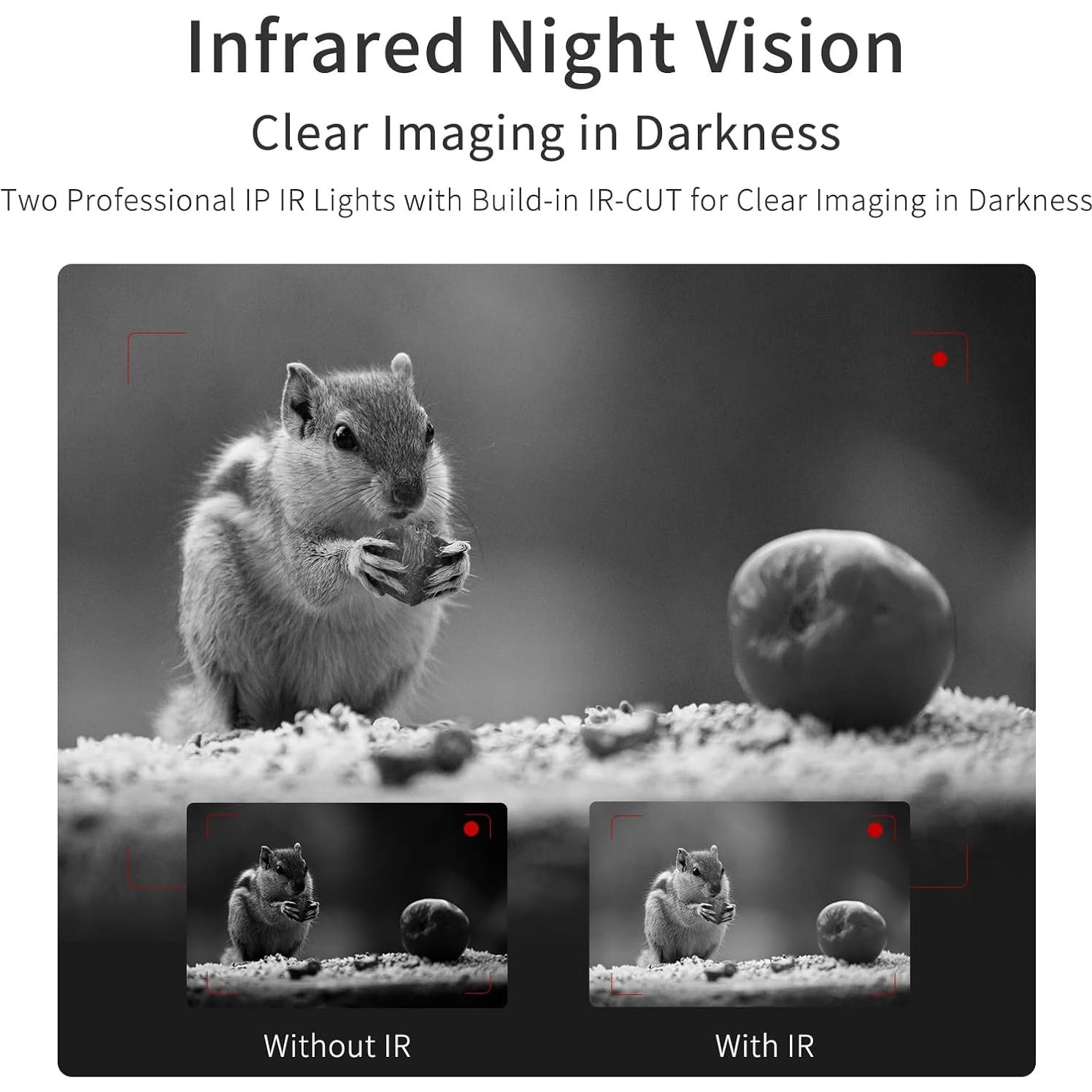 Cámara de Video 5K ORDRO AE20 con Estabilizador y Micrófono