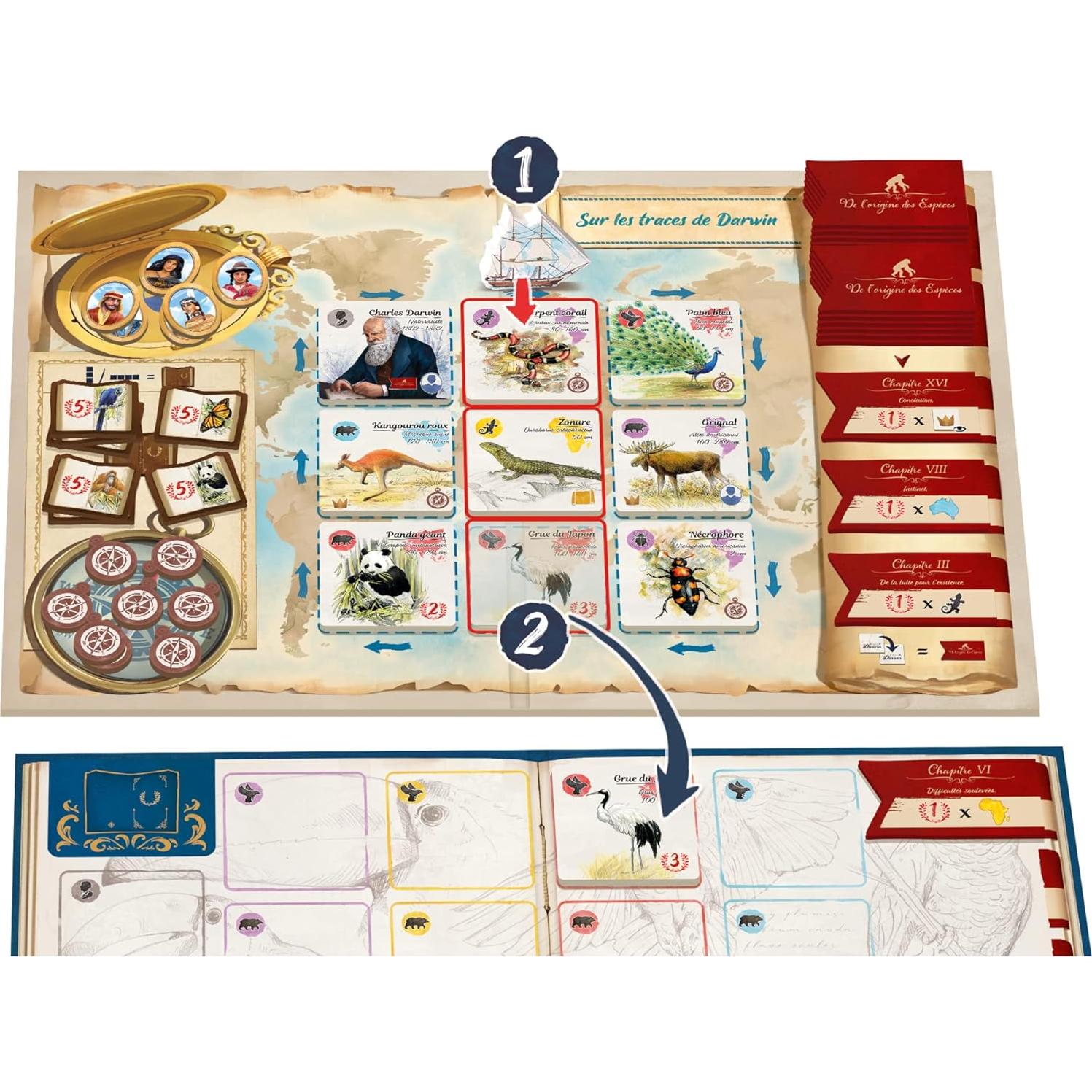 Juego de mesa En los pasos de Darwin Hachette 2-5 jugadores