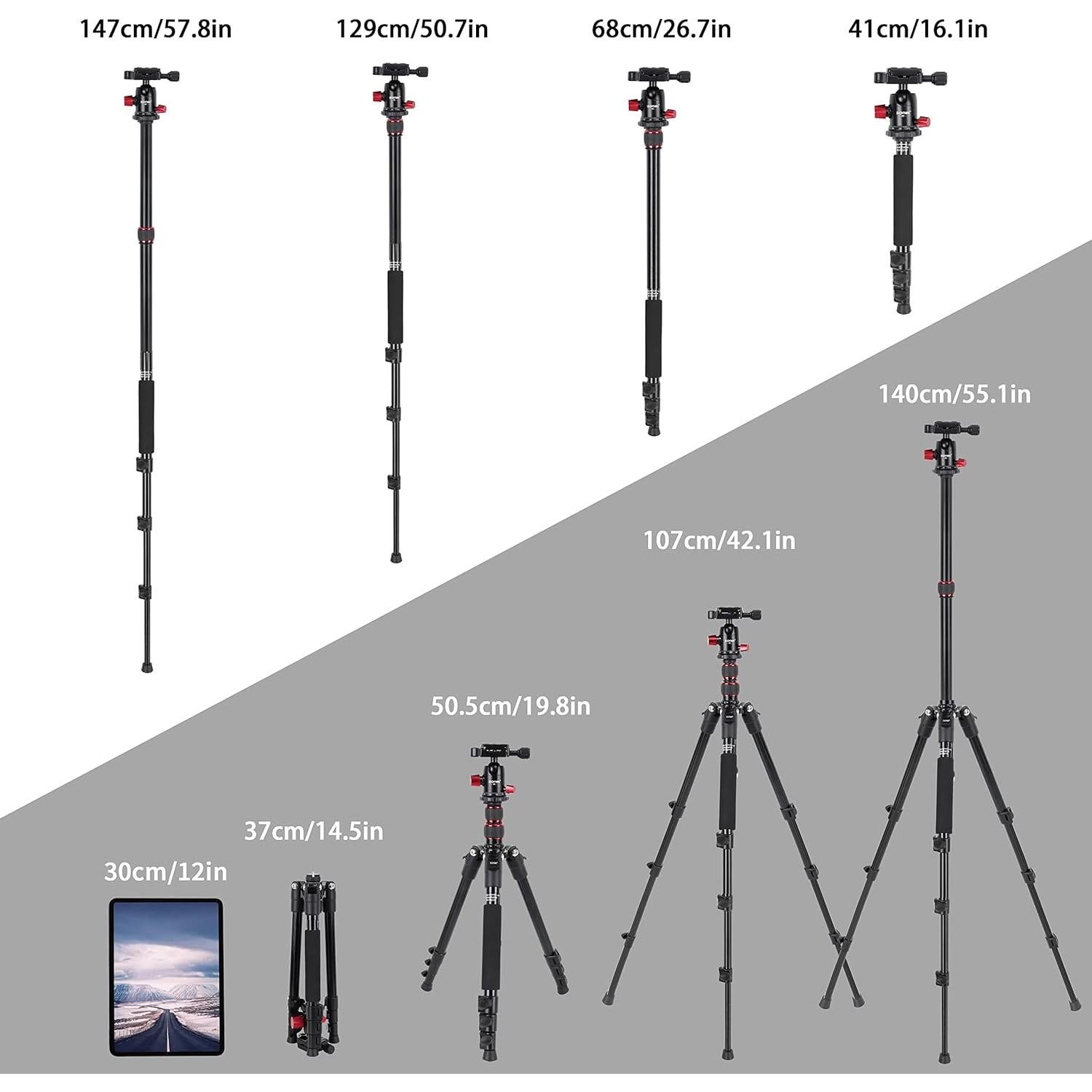 Trípode ZOMEI M5 de Aluminio Ligero para Cámara y Smartphone