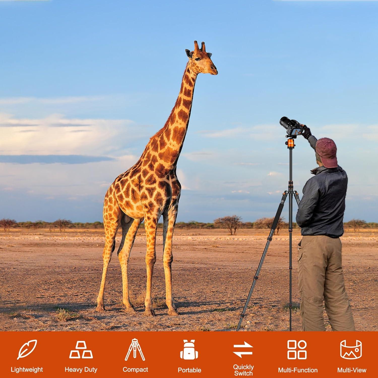 Trípode de Alta Resistencia JOILCAN 85" para Cámara y Teléfono