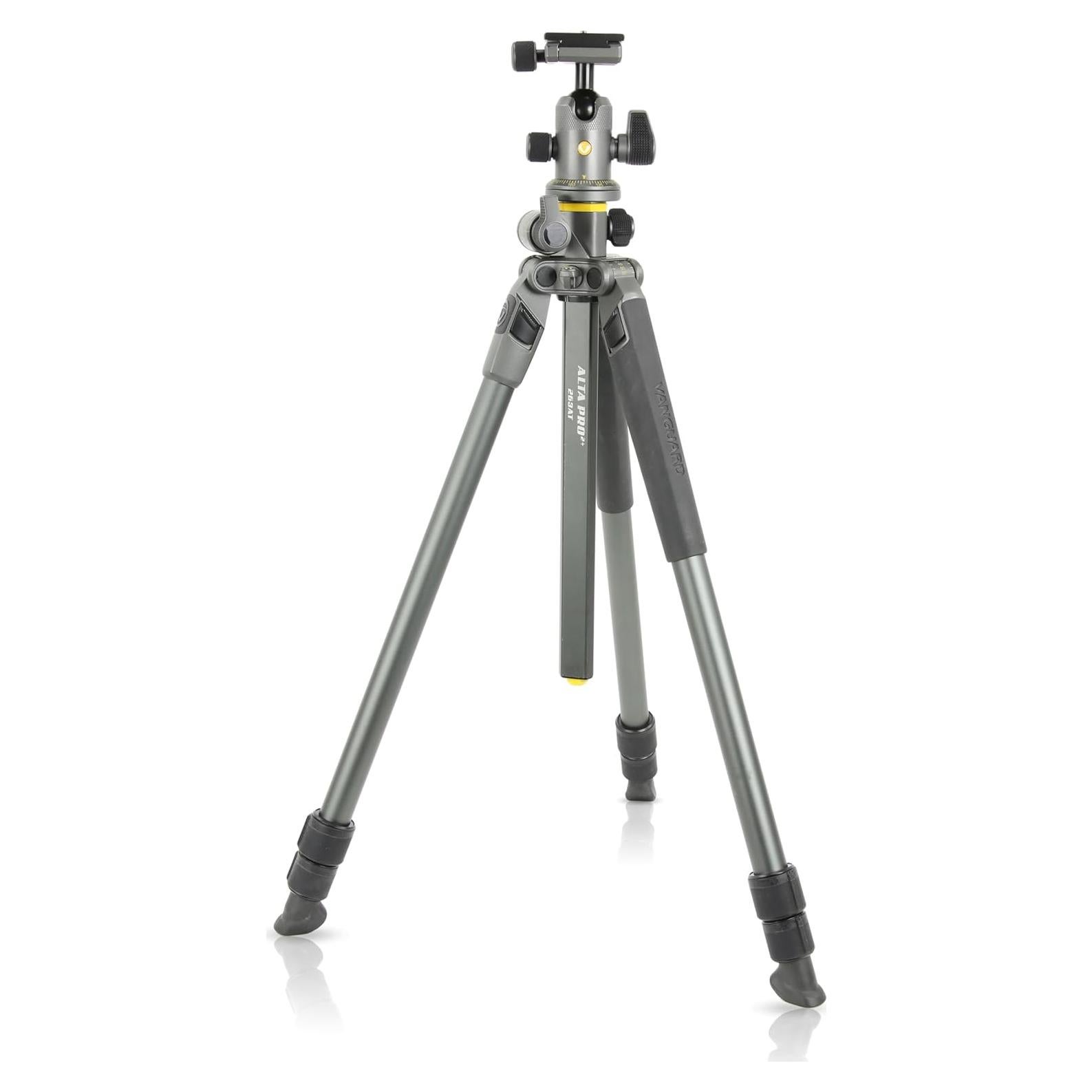 Vanguard Alta Pro 2+ 263AB 100 Aluminum Tripod with Alta BH-100 Ball Head and Multi-Angle Center Column