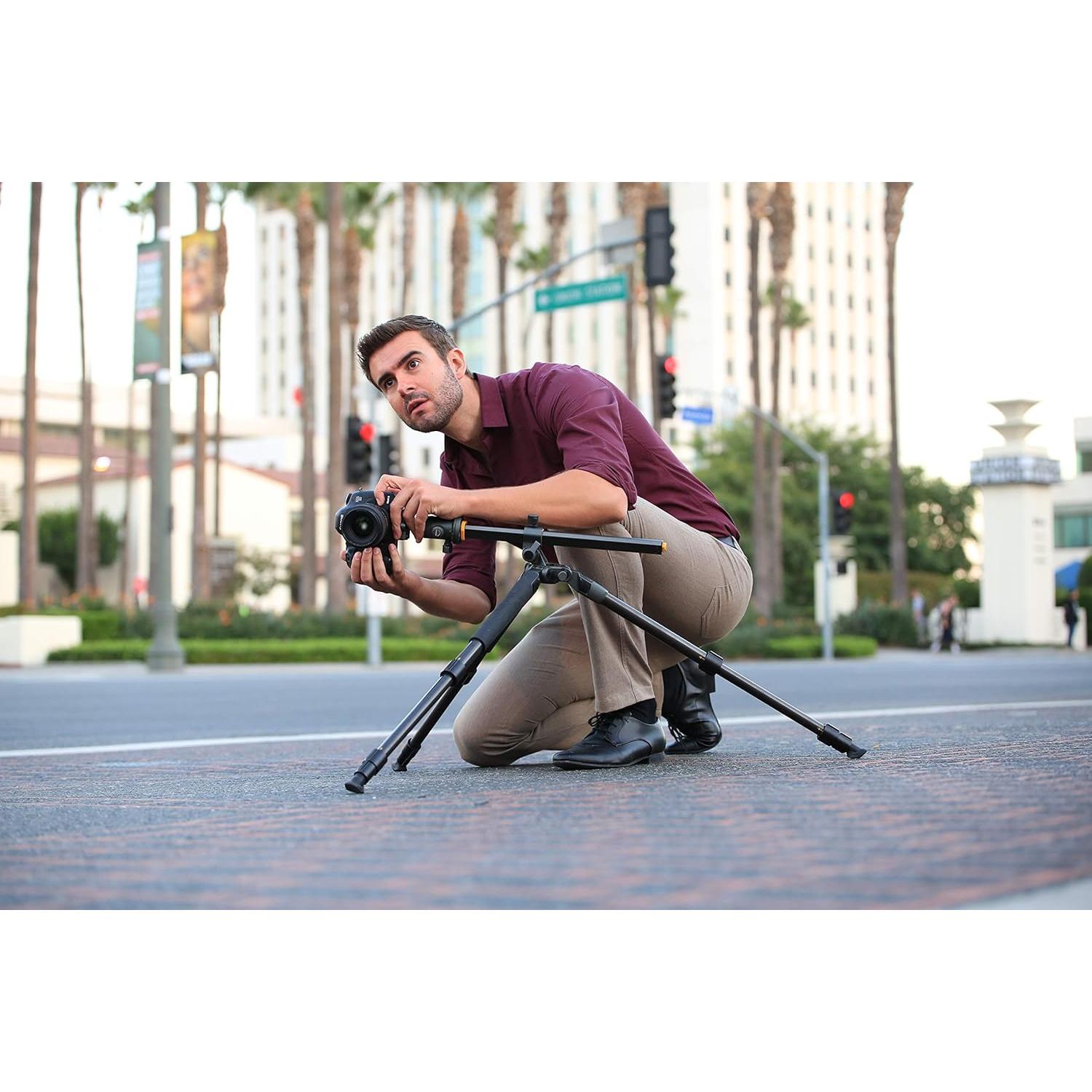 Vanguard Alta Pro 2+ 263AB 100 Aluminum Tripod with Alta BH-100 Ball Head and Multi-Angle Center Column