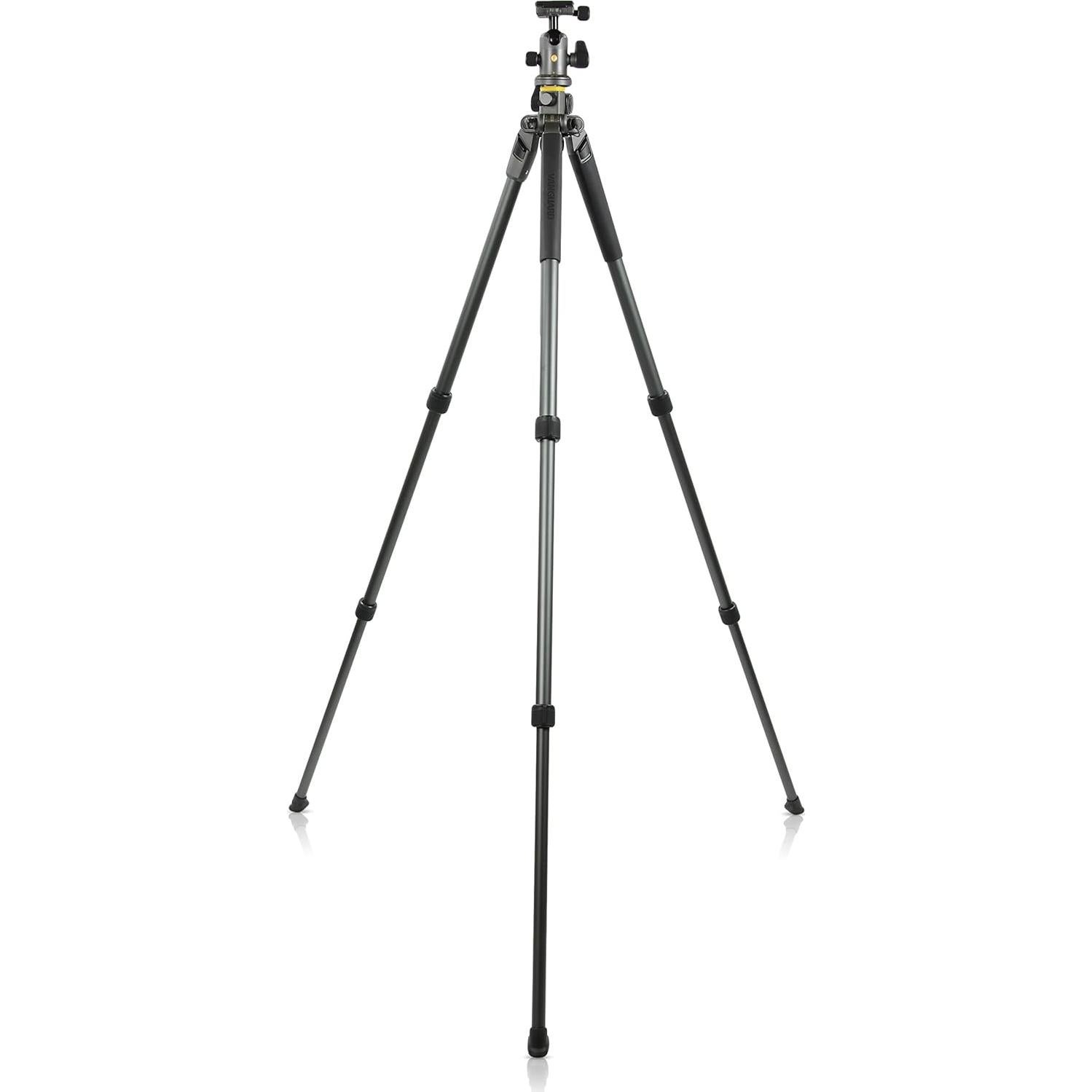 Vanguard Alta Pro 2+ 263AB 100 Aluminum Tripod with Alta BH-100 Ball Head and Multi-Angle Center Column
