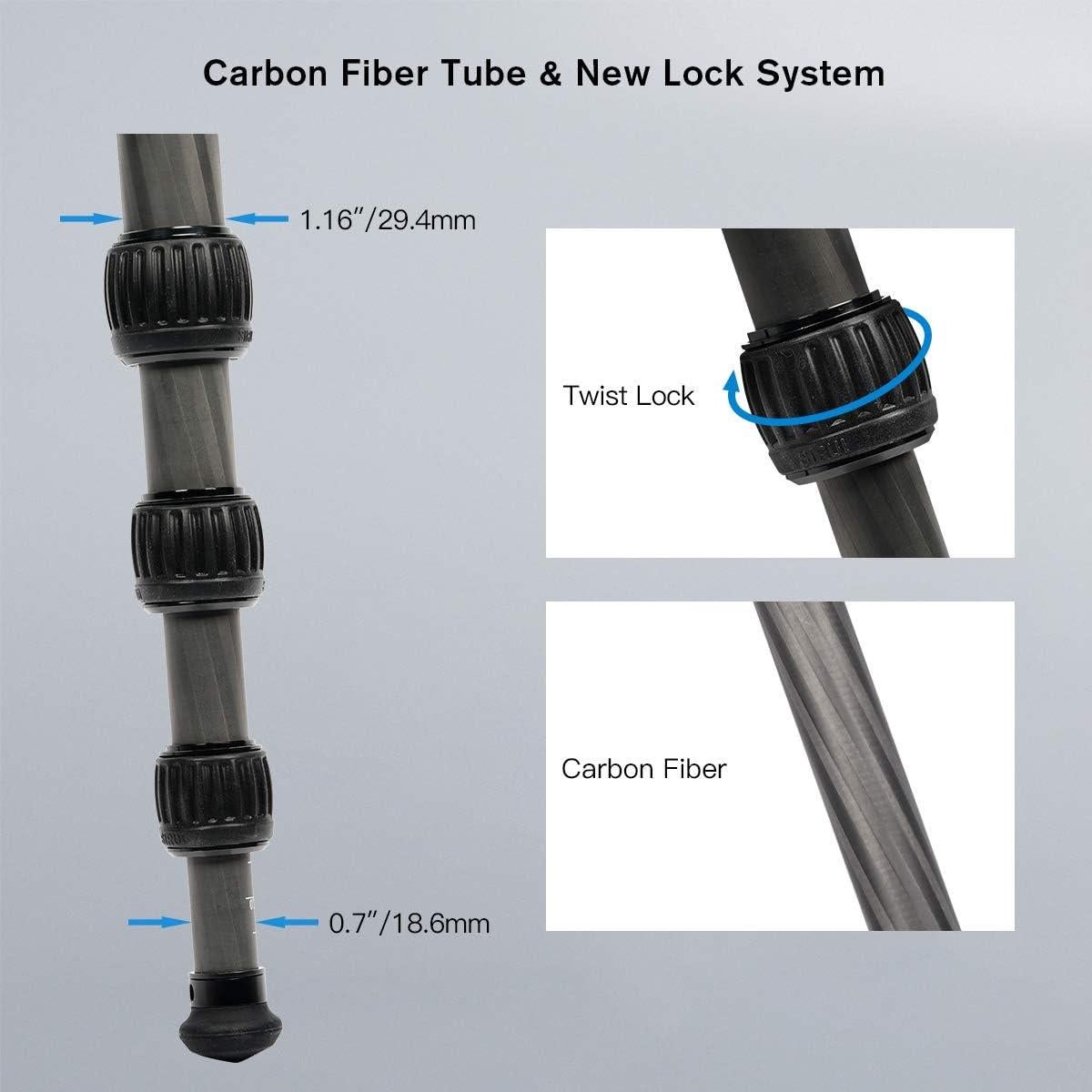 SIRUI AM-284 Camera Tripod Carbon Fiber Professional Tripod with K20X Ball Head Load 55lb (AM-284+K20X)