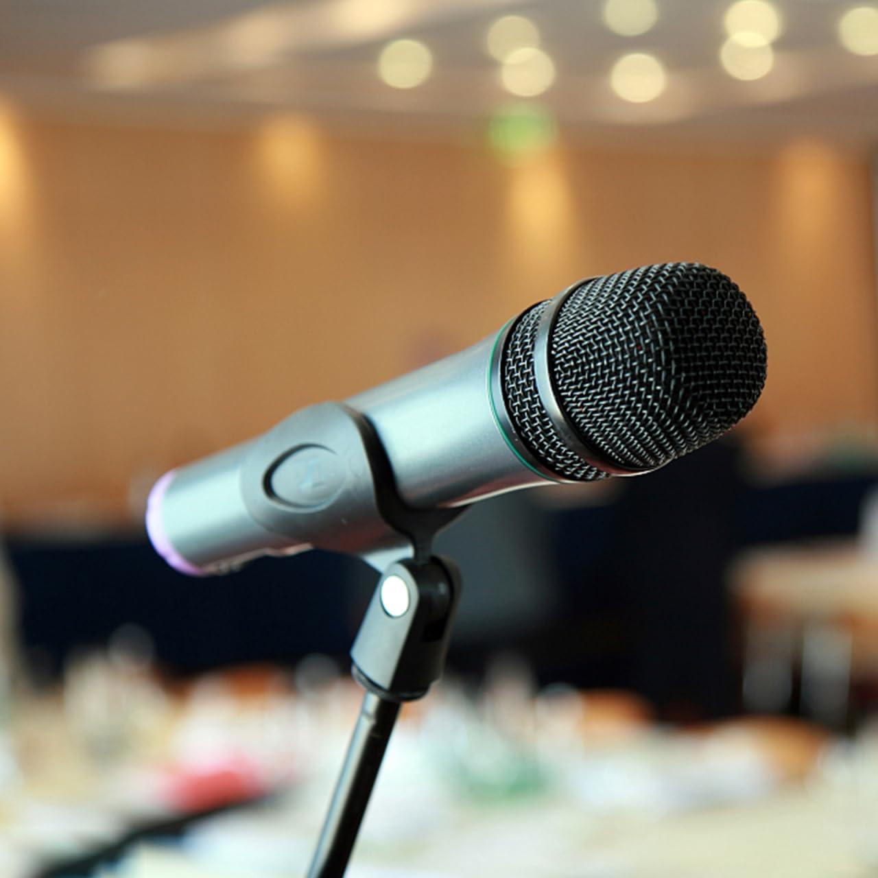 Brazo de Micrófono Ajustable Metal Negro 36.1 cm Duradero