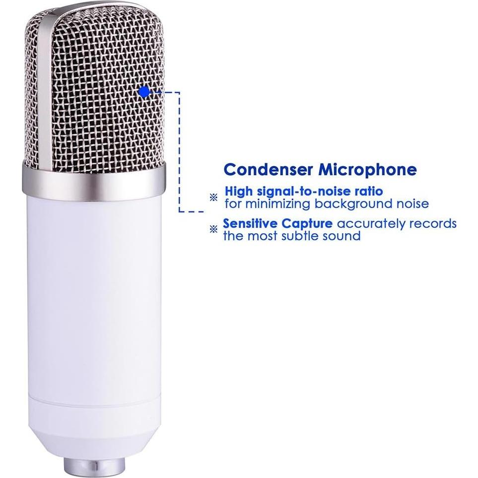 Micrófono de Condensador AW BM-700 con Soporte Ajustable y Filtro Antipop