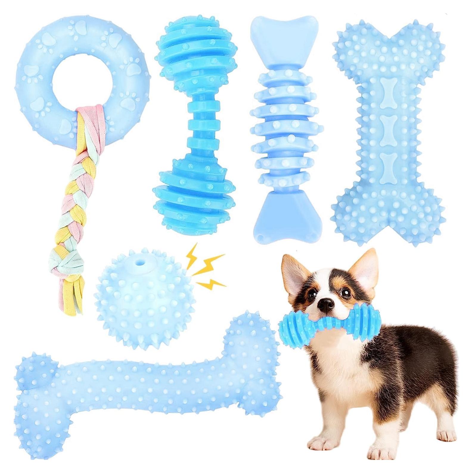 Juguetes para Cachorros CGBD Paquete de 6 Azul Masticar