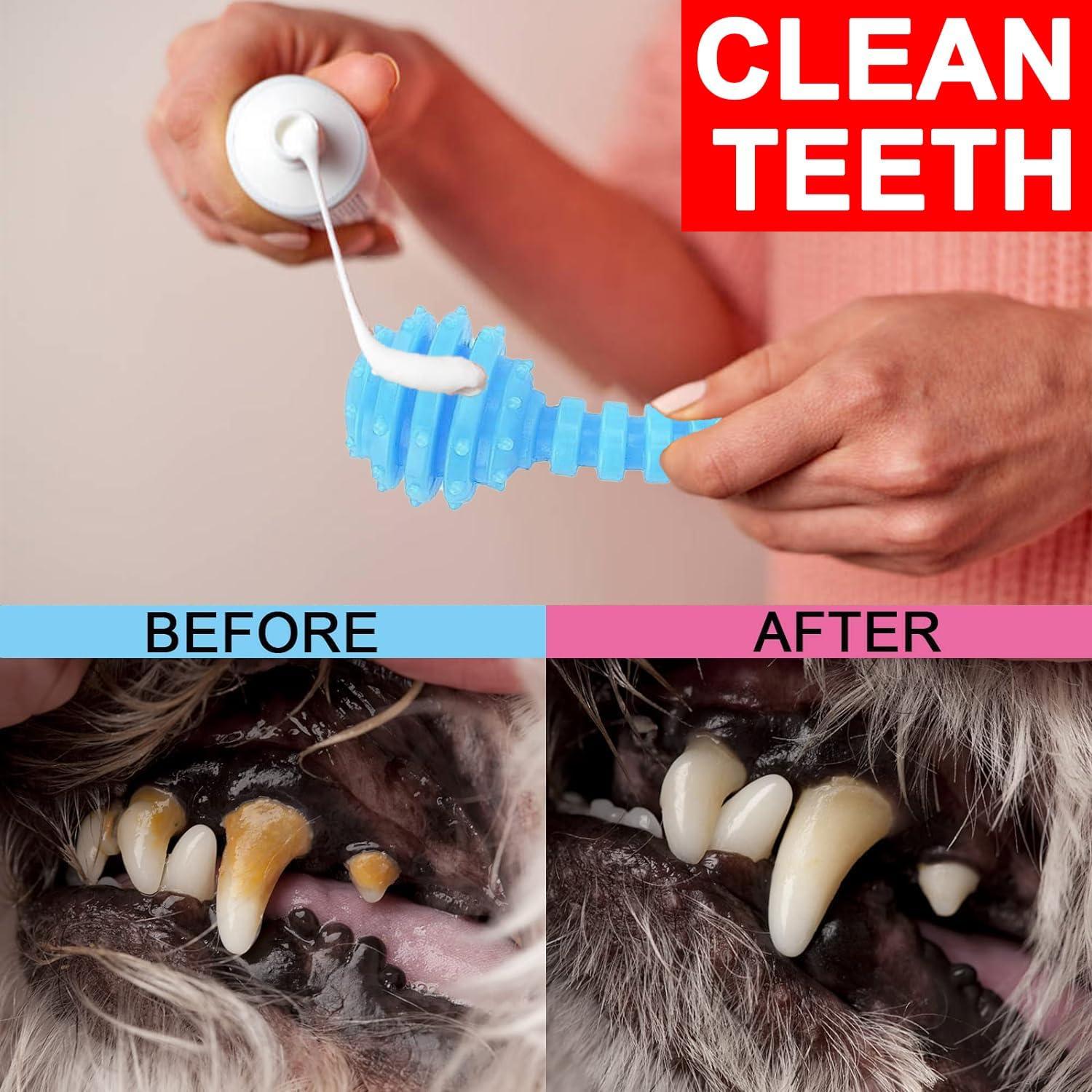 Juguetes para Cachorros CGBD Paquete de 6 Azul Masticar