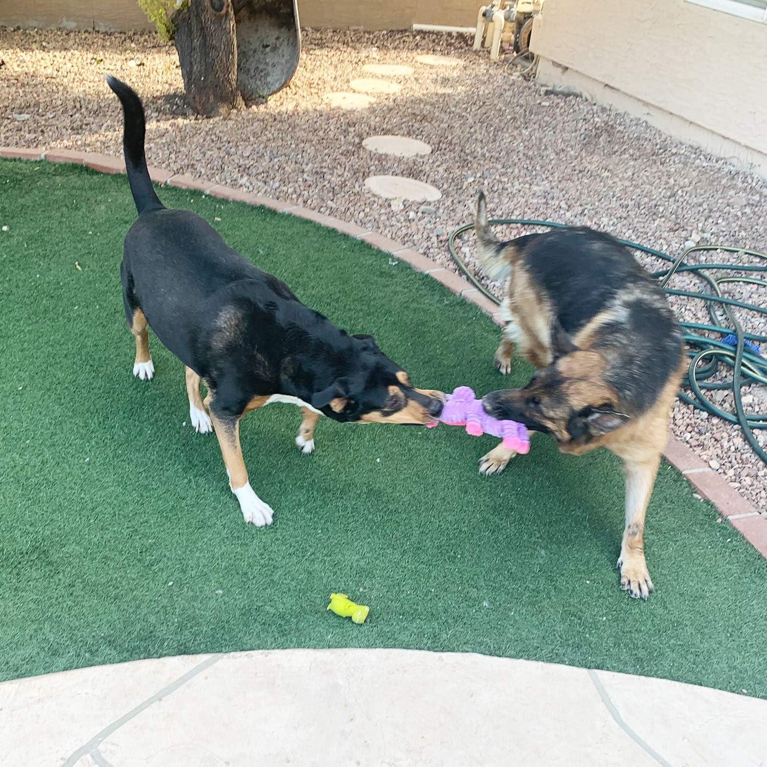 Paquete de 5 Juguetes de Peluche Jalousie para Perros