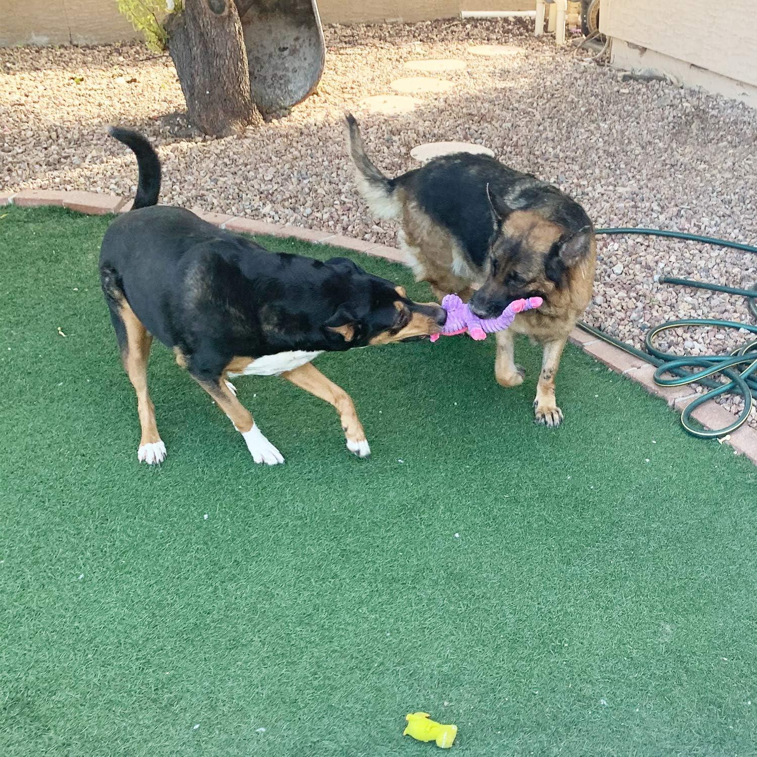Paquete de 5 Juguetes de Peluche Jalousie para Perros
